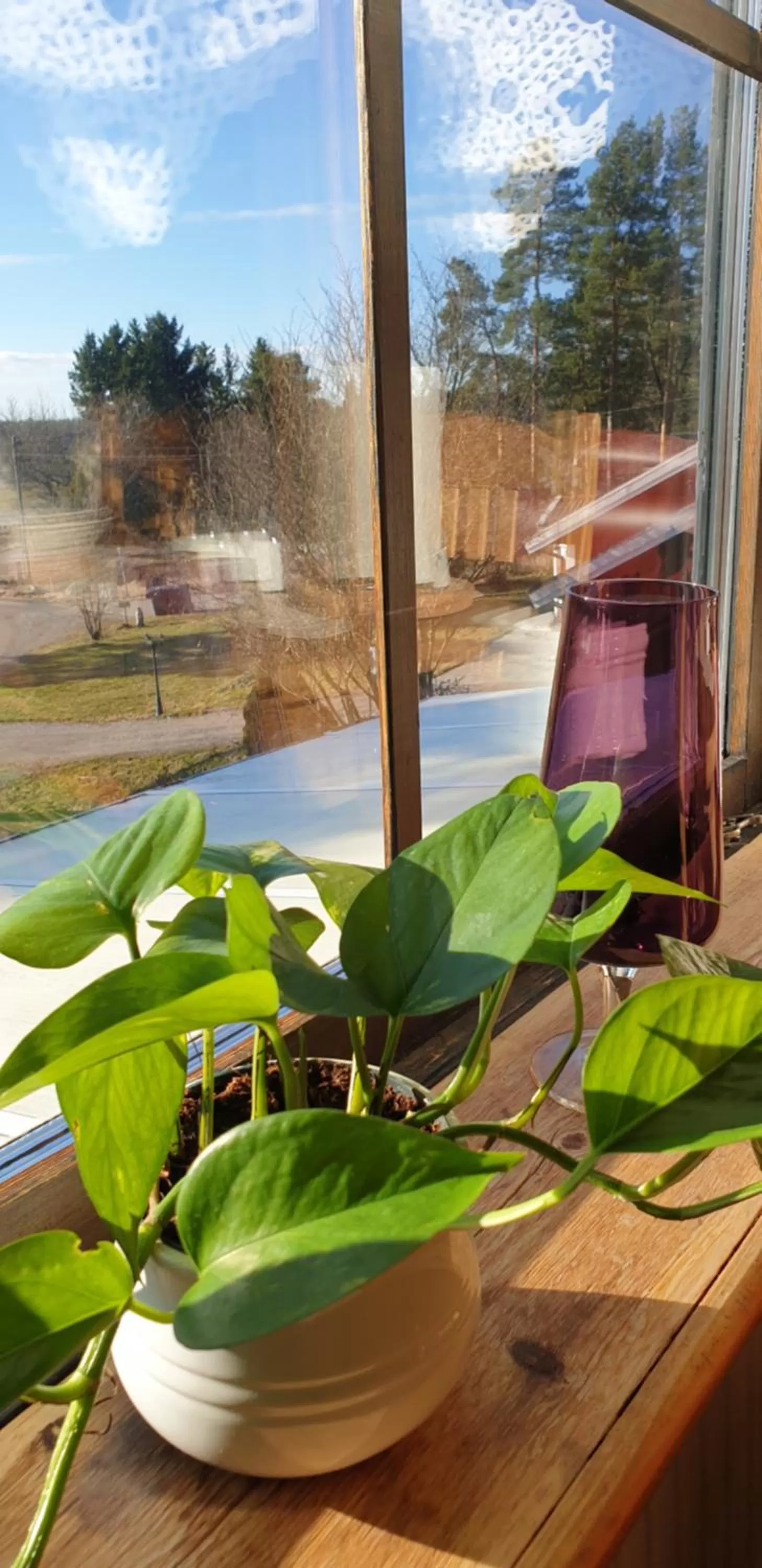 View (from property/room) in Woodstock B&B & Studio Apartments