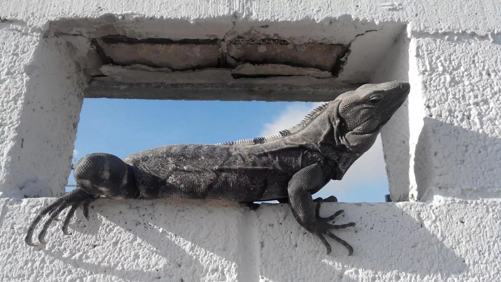 Casa Blanca Boutique & Organic