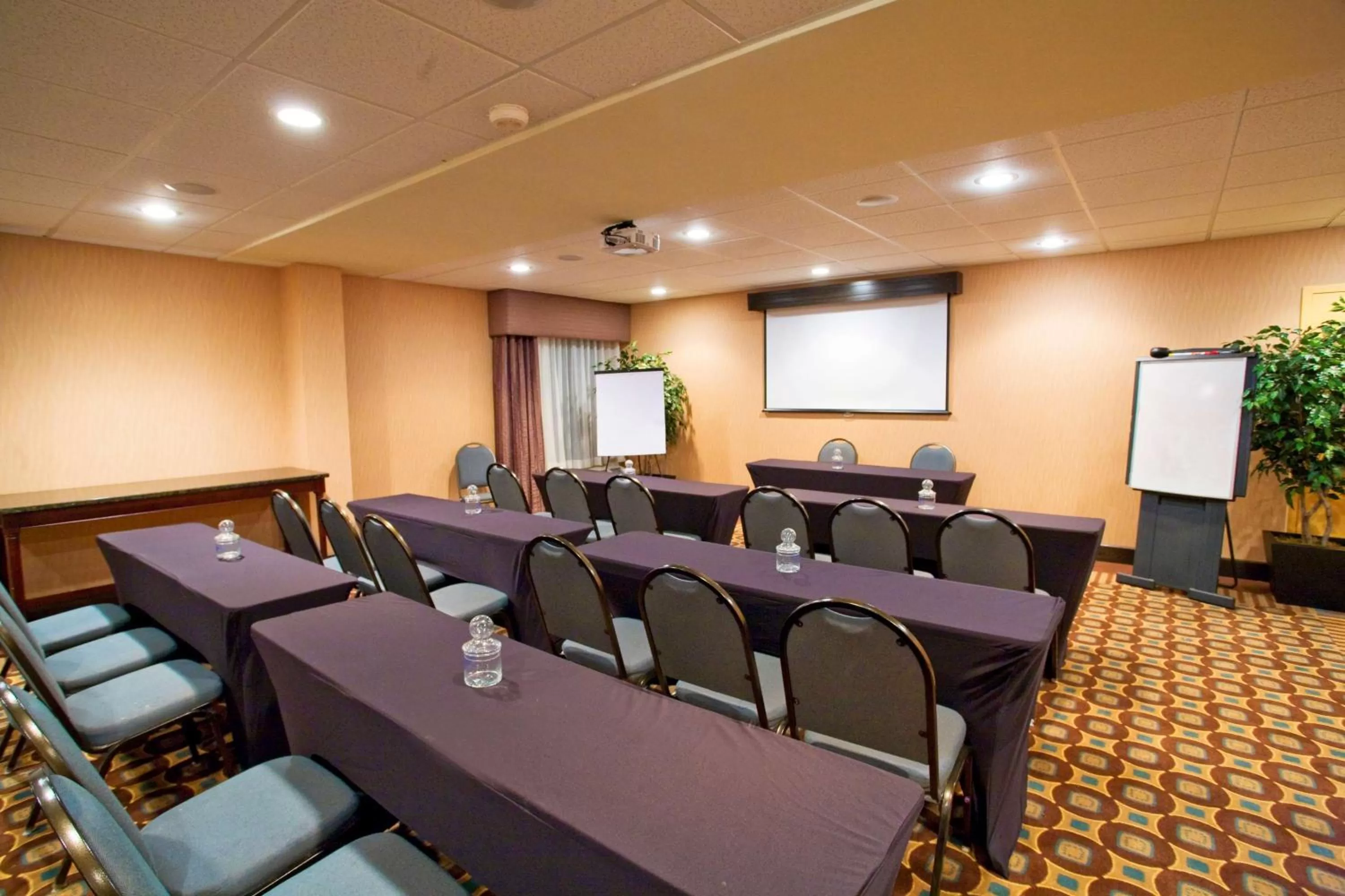 Meeting/conference room in Hampton Inn Atlanta-Newnan