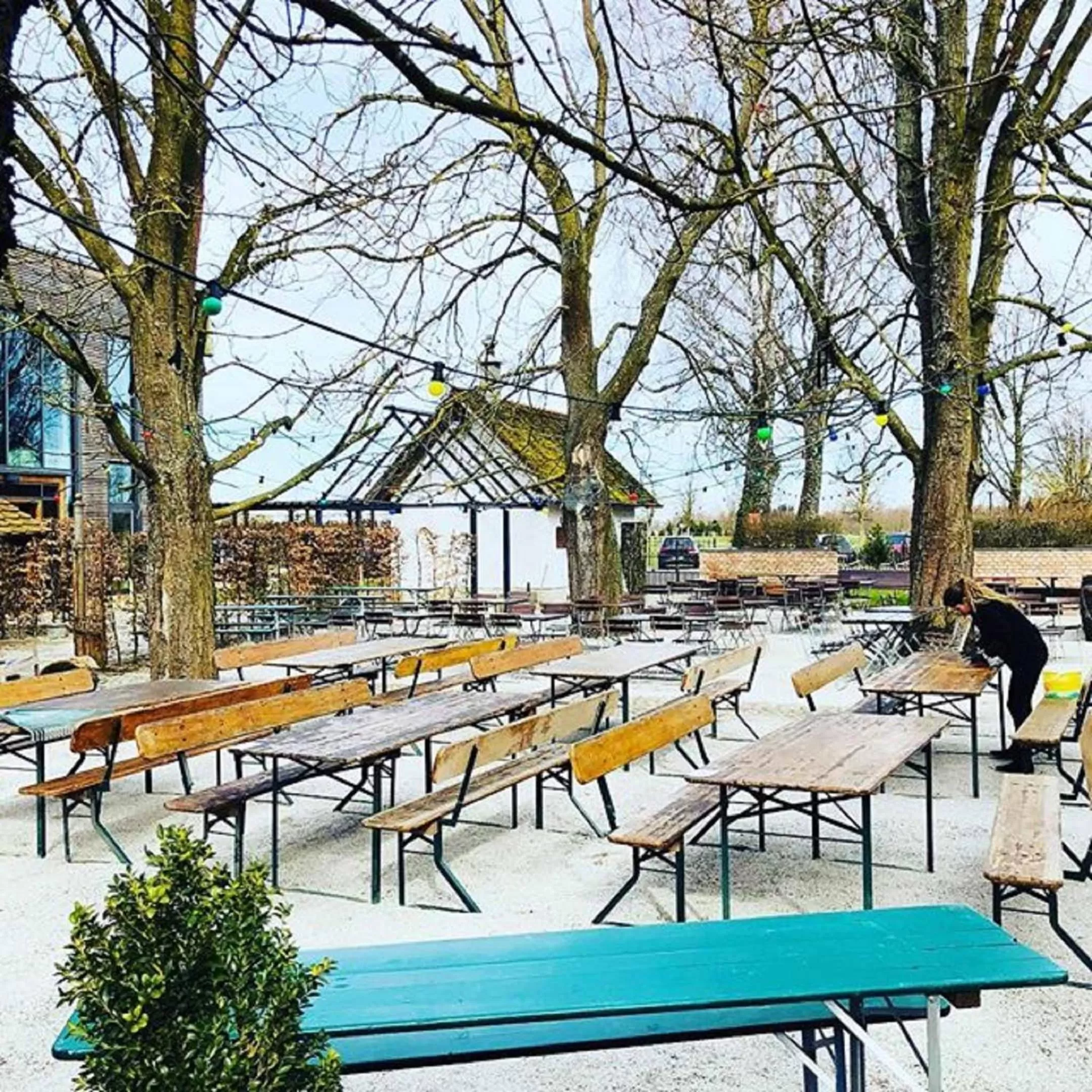 Restaurant/places to eat in Hotel Waldvogel