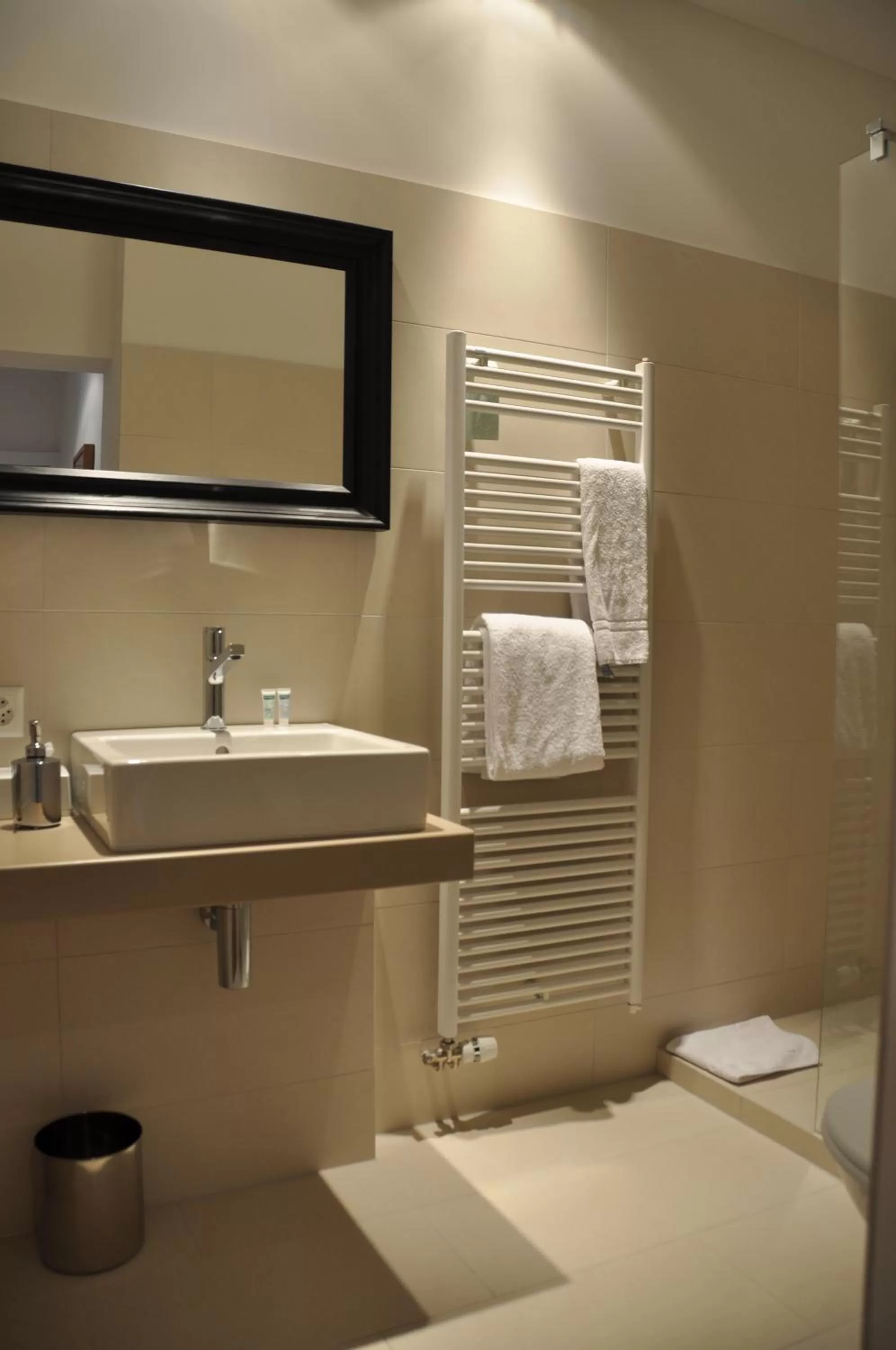 Shower in Hotel Edelweiss