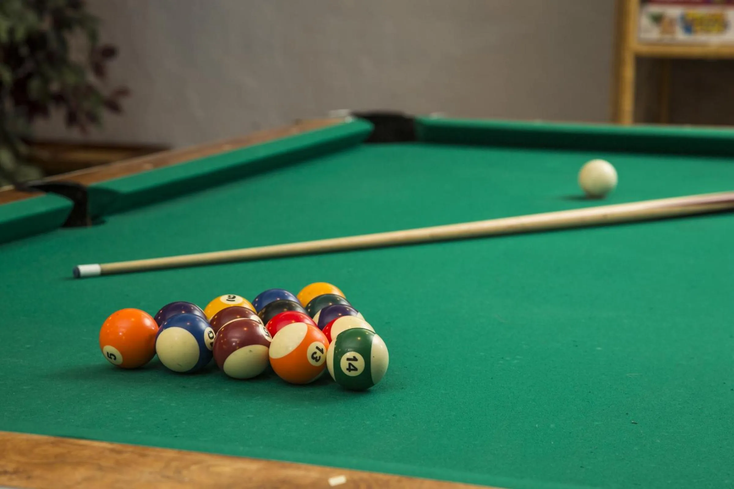 Billiard in Red Tree Lodge