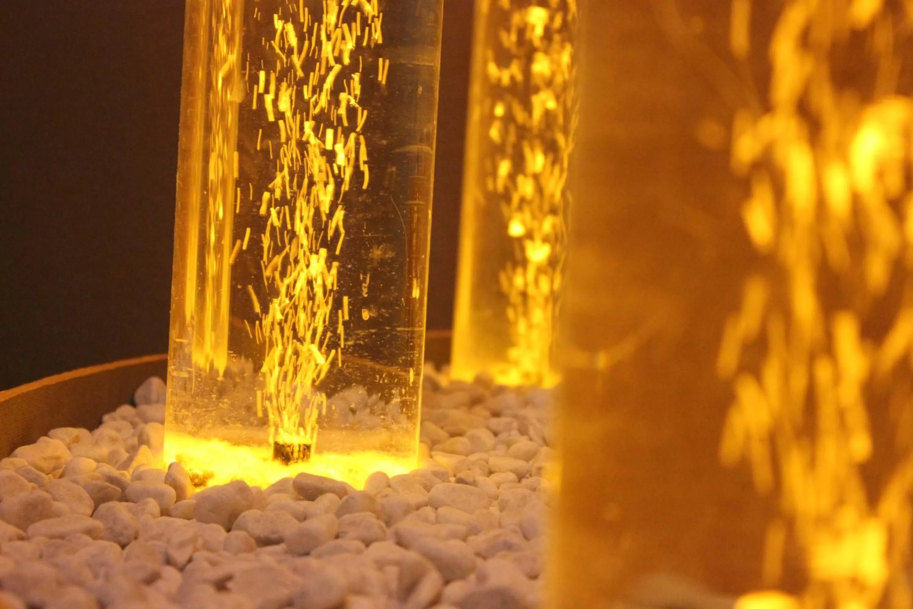 Restaurant/places to eat in Cabo Nichtraucher-Hotel