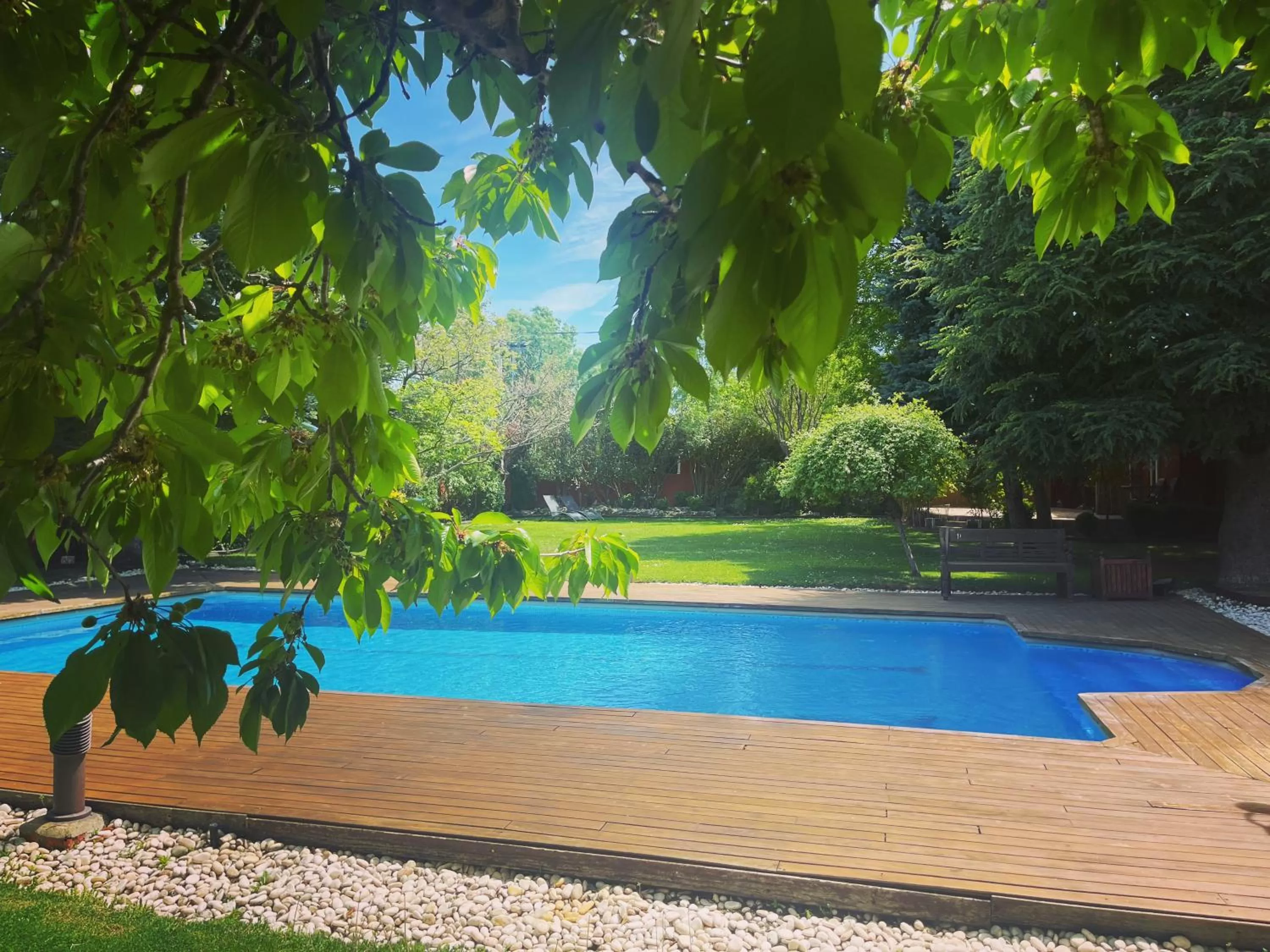 Natural landscape in B&B Concha