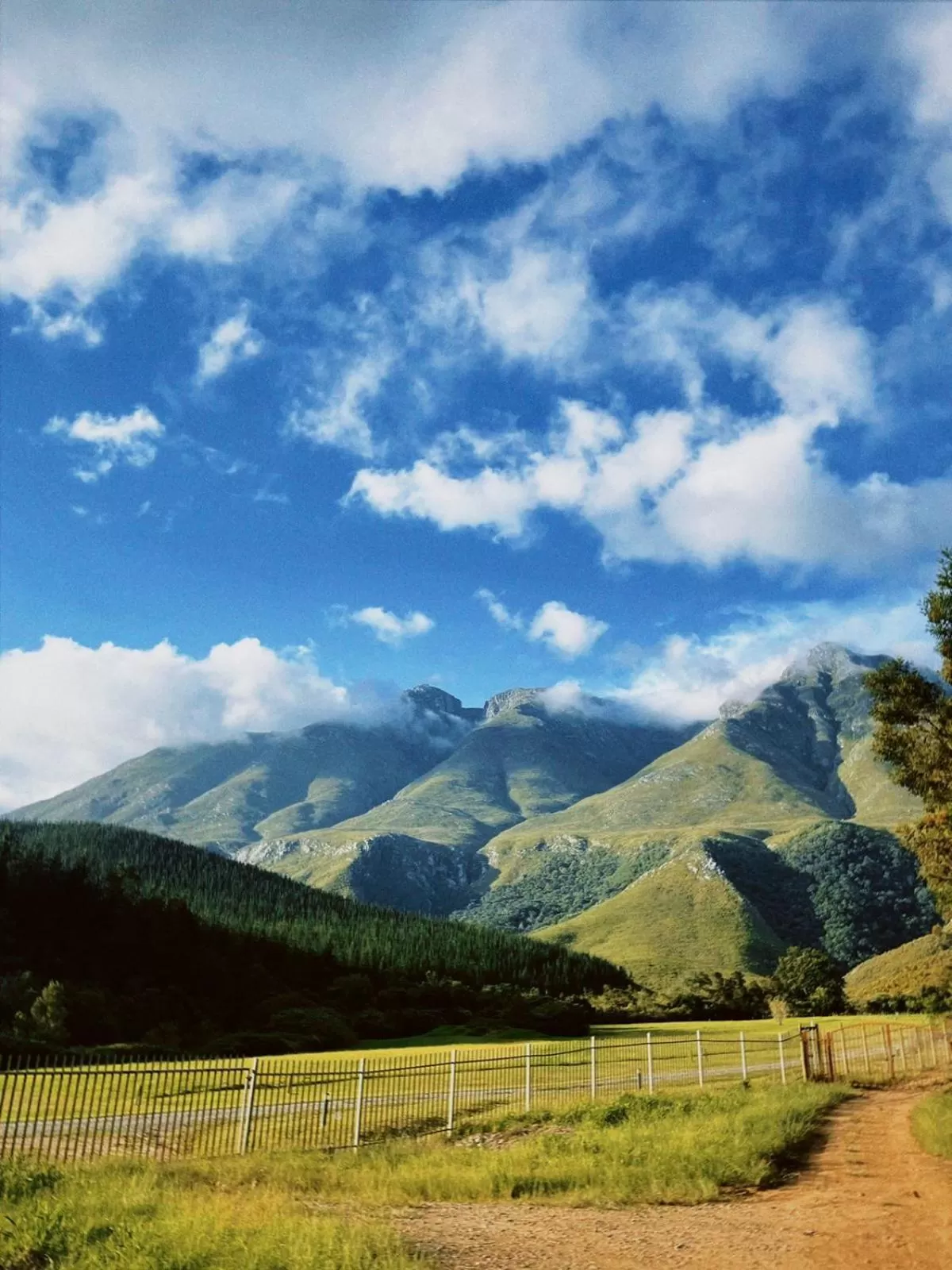Natural landscape in Bergview Guesthouse Swellendam