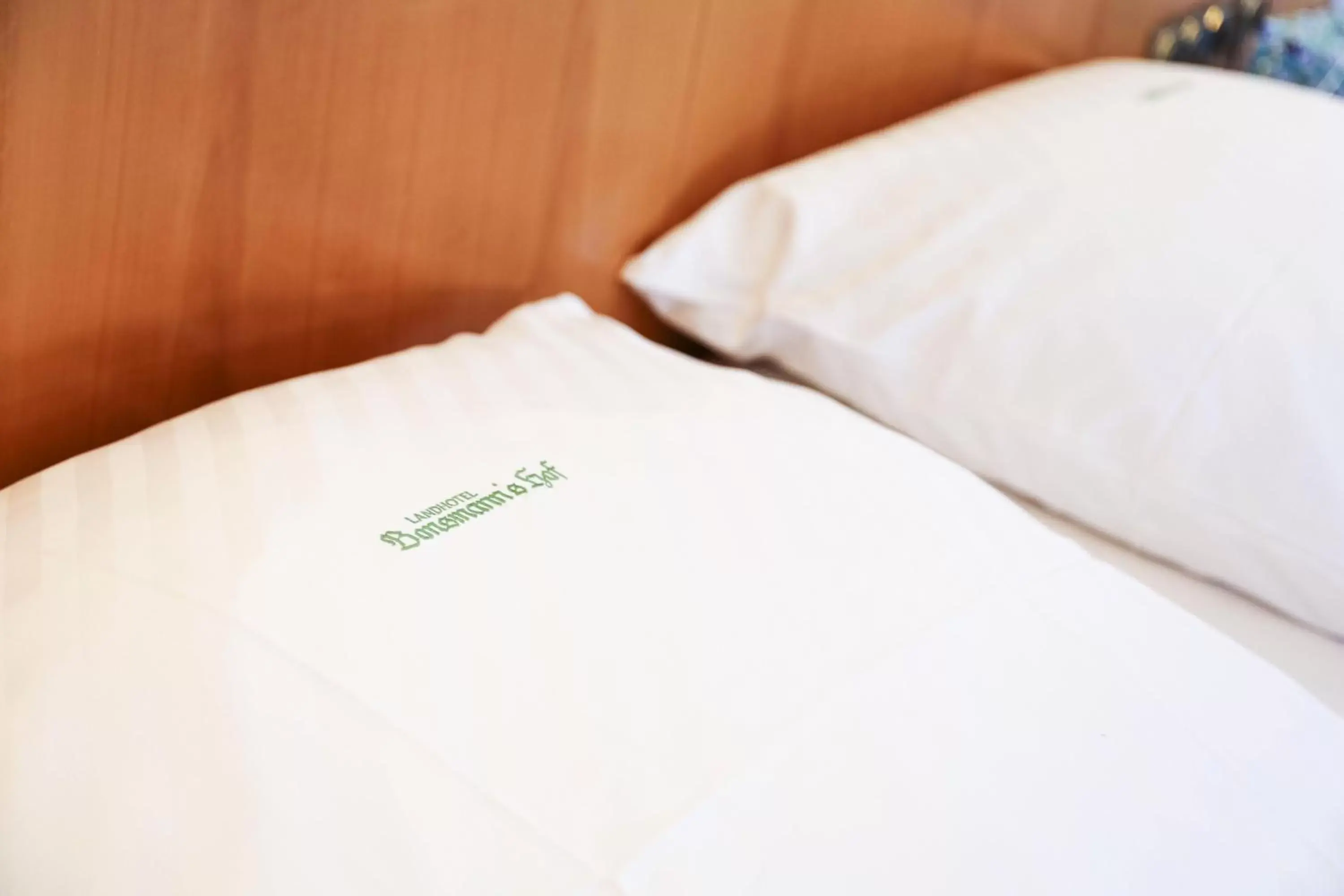 Double Room in Landhotel Bonsmann's Hof Double Room in Landhotel Bonsmann's Hof