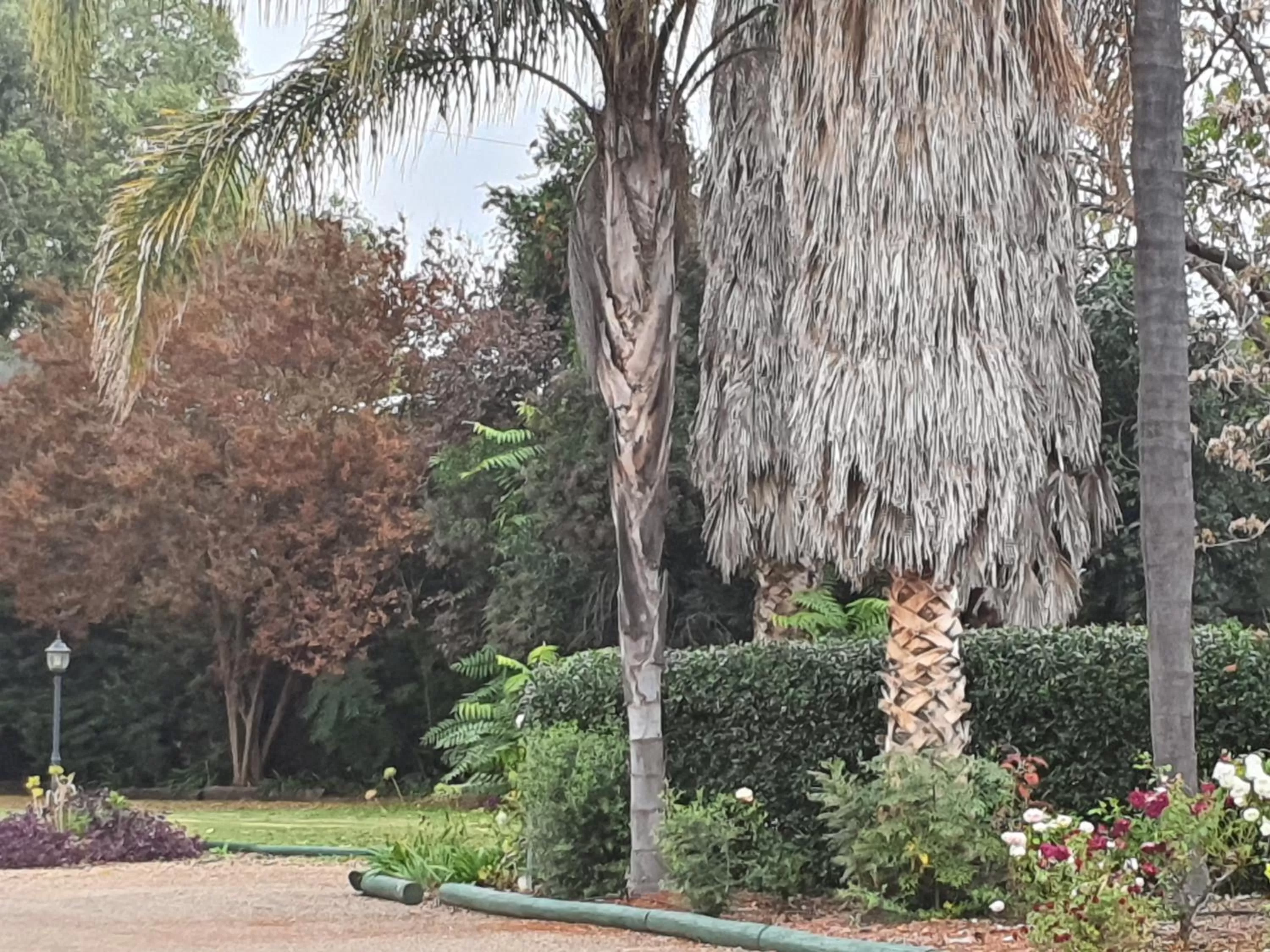 Garden view in The Aston Motel Tamworth