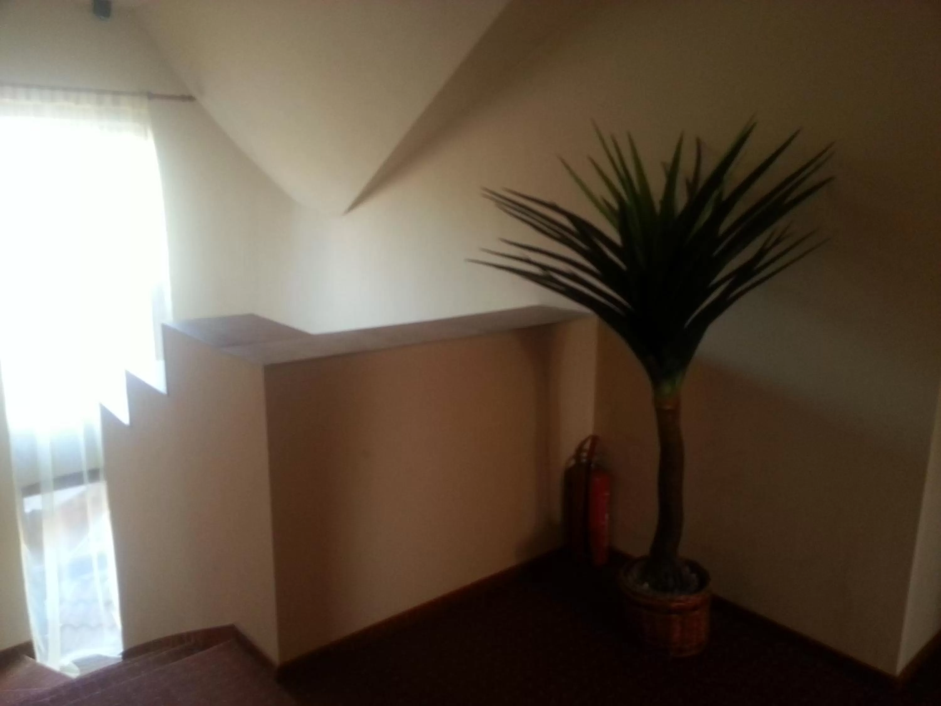 Property building in Abszolút Hotel és Panzió