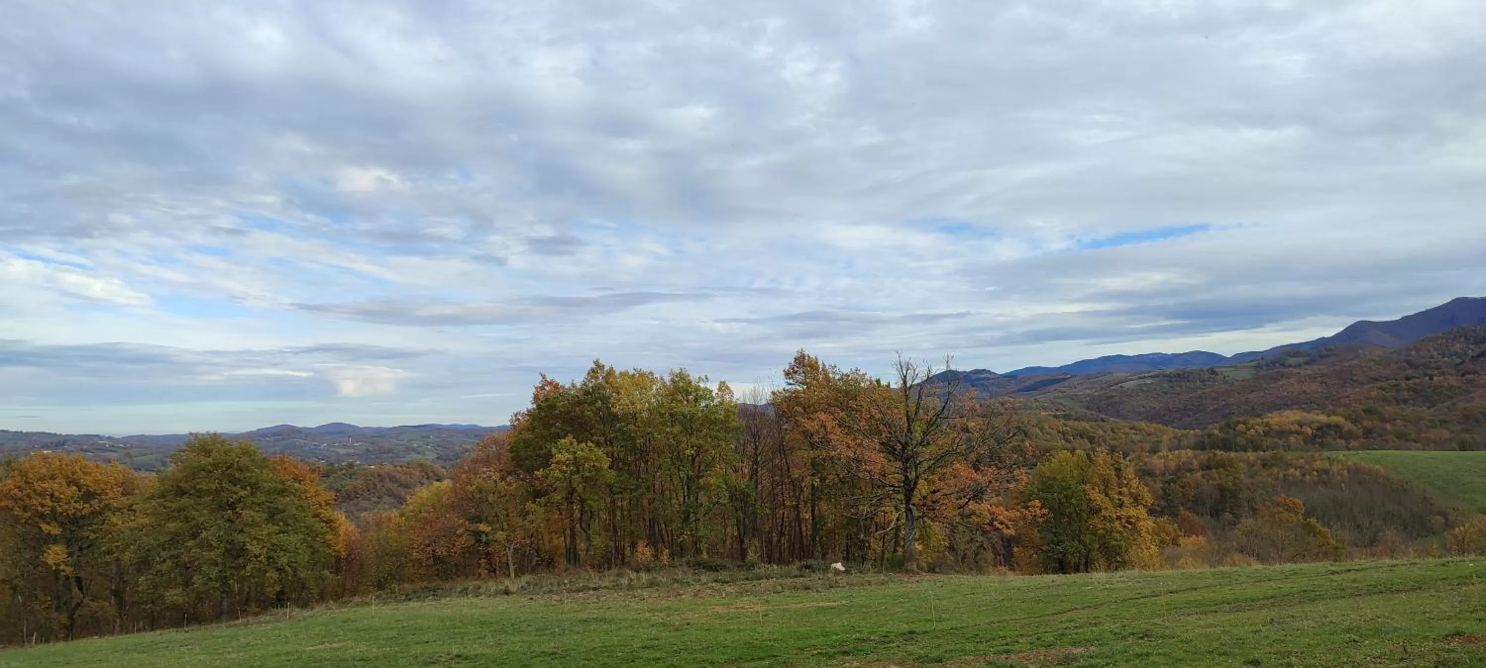 Domaine Le Lanis Chambre d'hôtes avec spa sur réservation