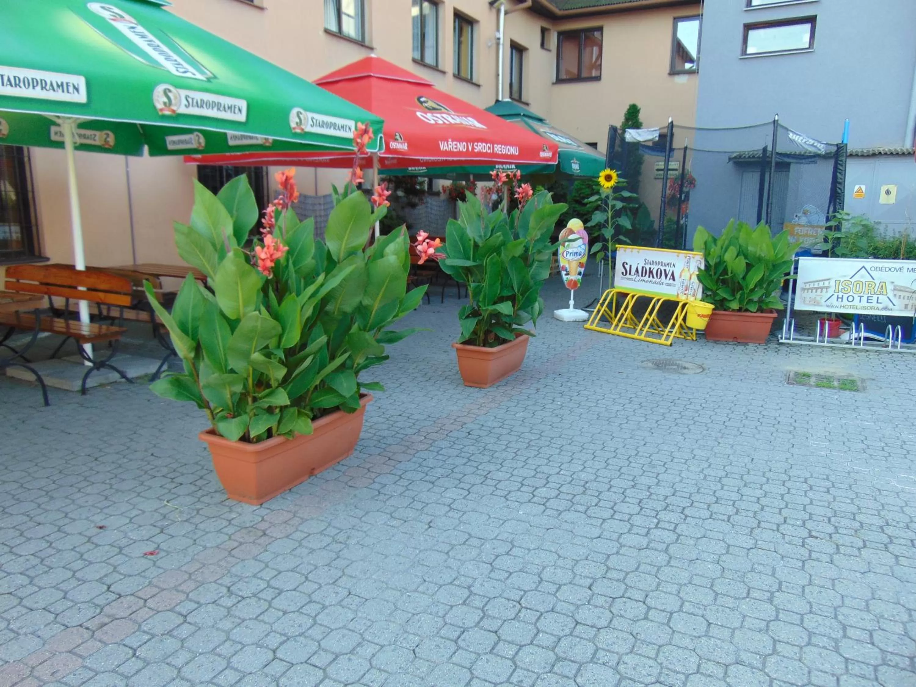 Restaurant/places to eat in Hotel Isora