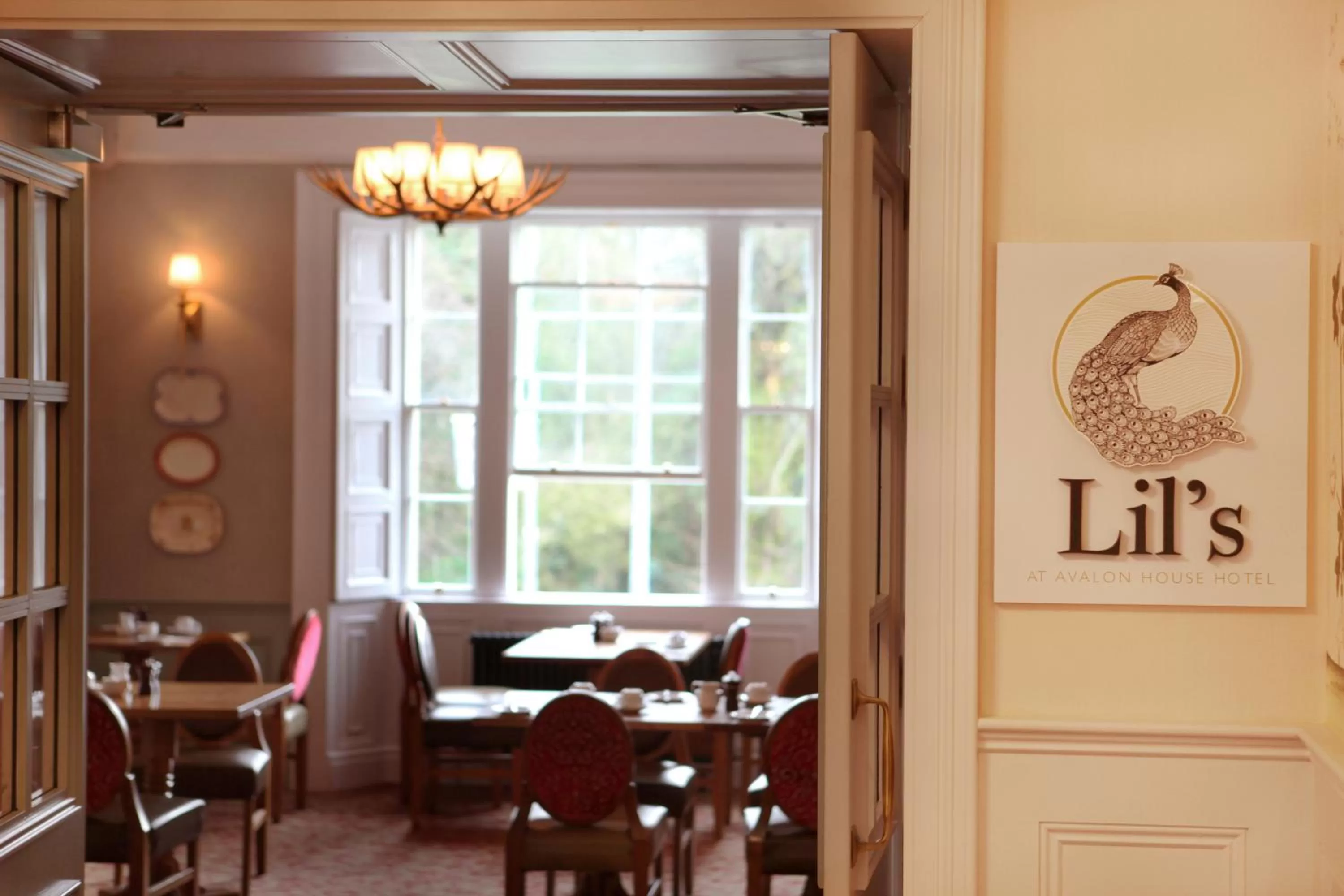 Restaurant/places to eat in Avalon House Hotel