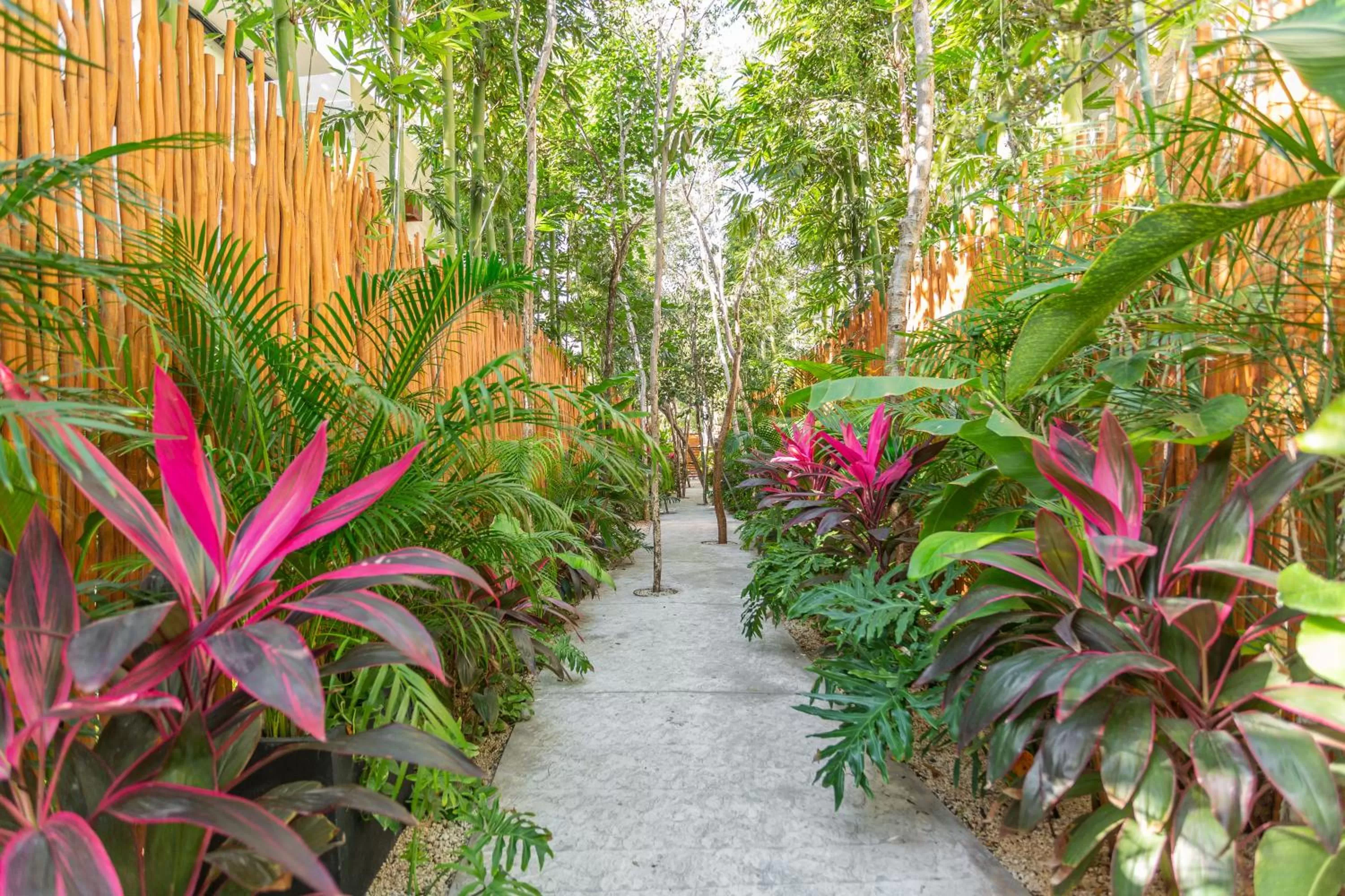 Spring in Atman Residences Tulum