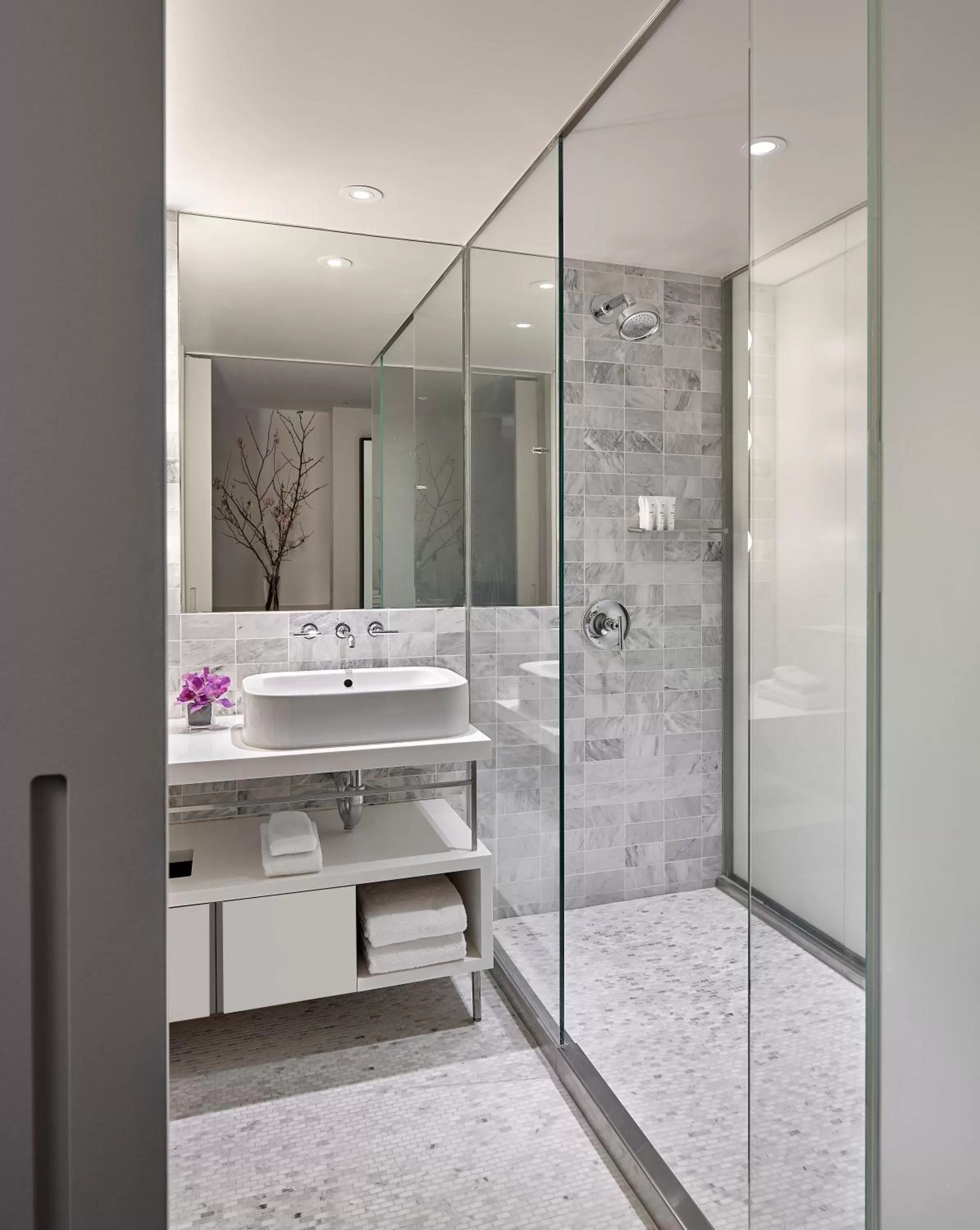 Shower in Smyth Tribeca