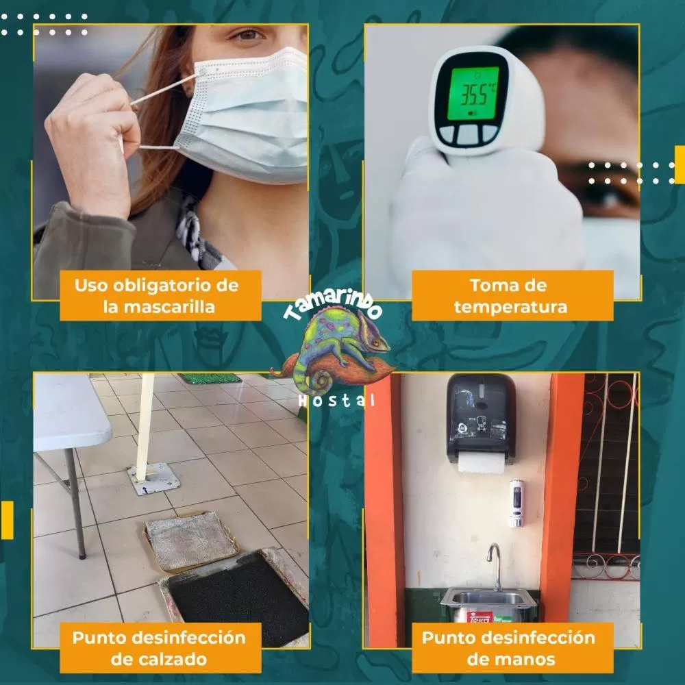 Logo/Certificate/Sign in Tamarindo Hostel