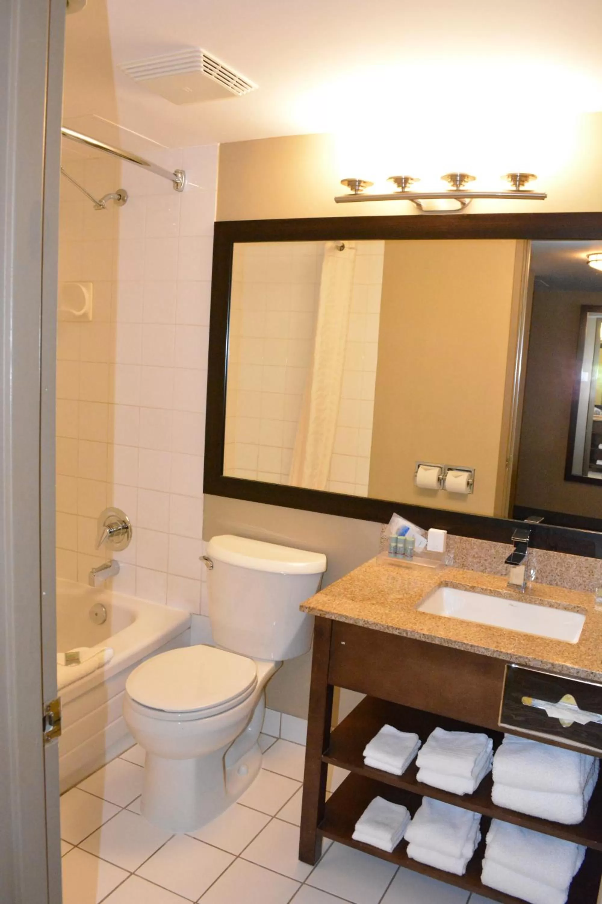 Bathroom in Best Western Terrace Inn