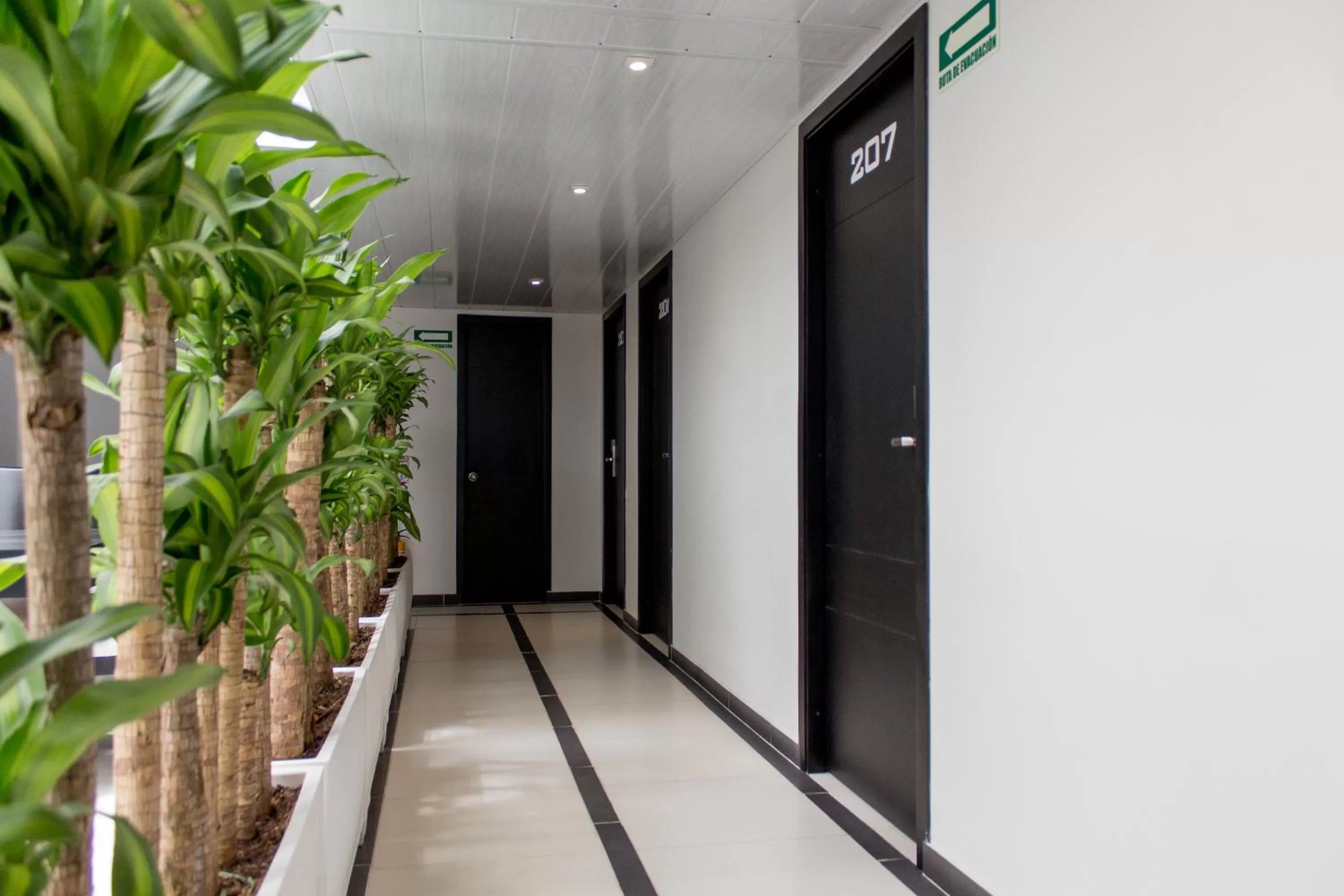 Area and facilities in Hotel Metropolitano