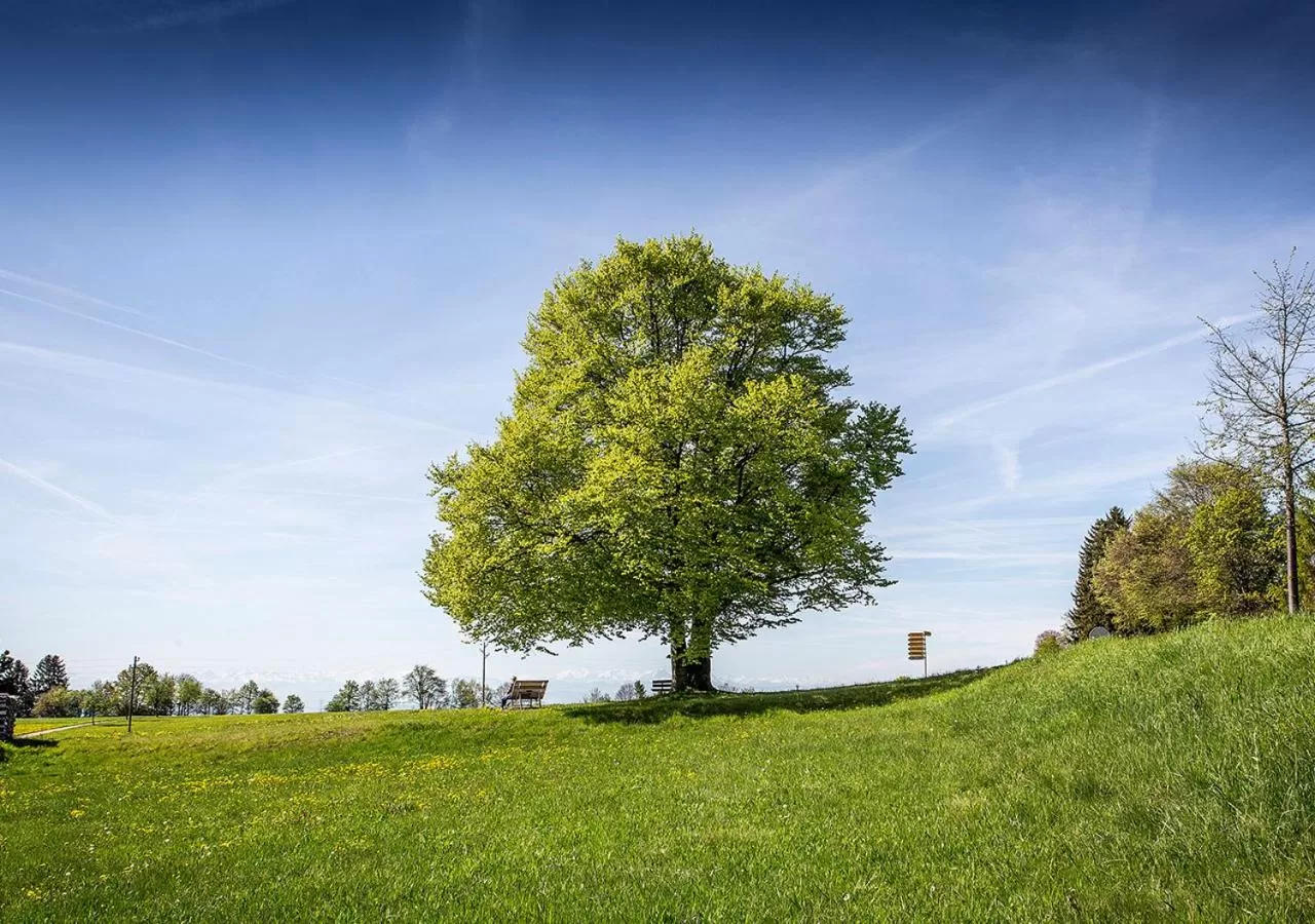 Spring in Portens Hotel Fernblick