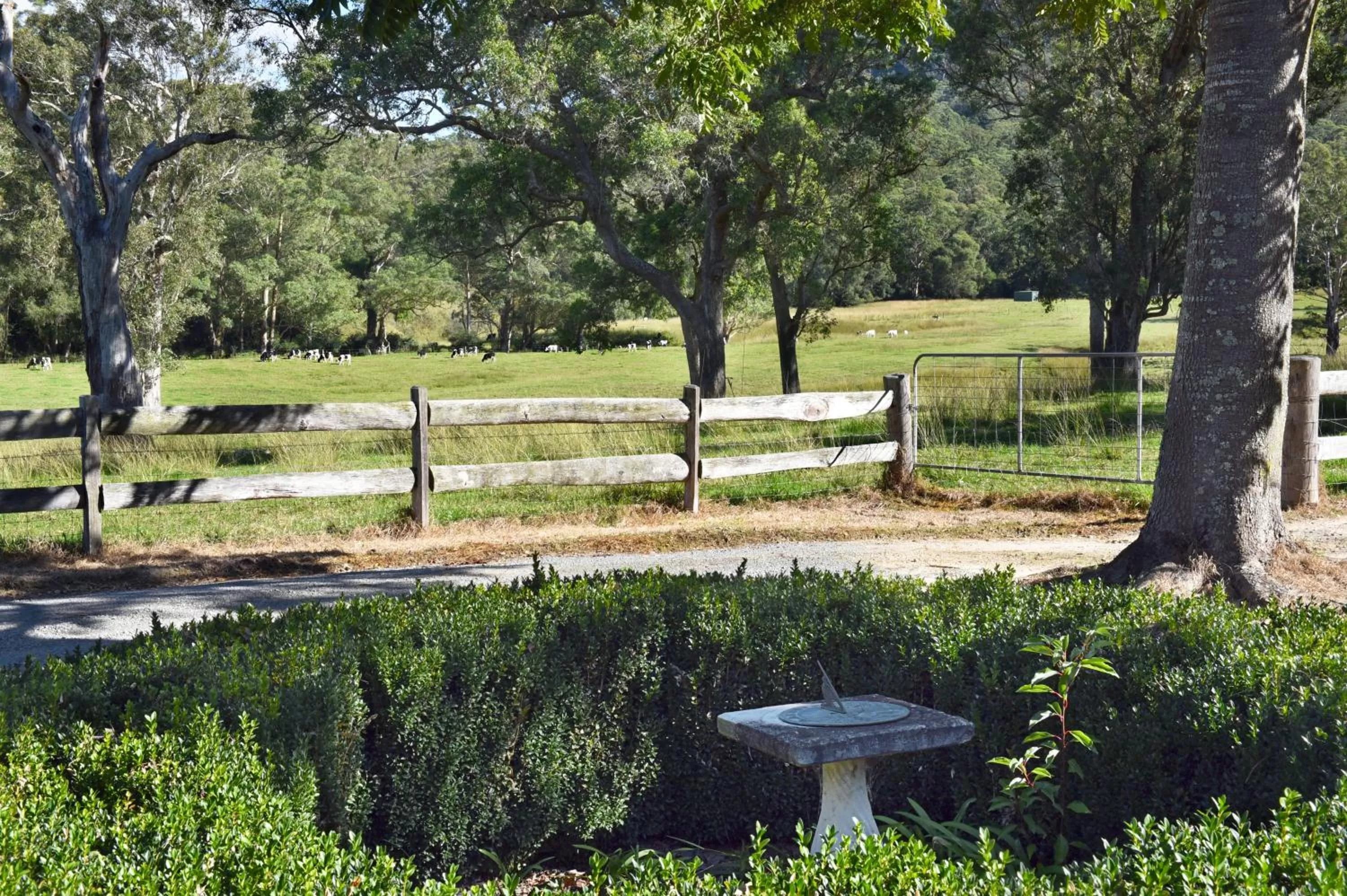 Garden in The Laurels B&B