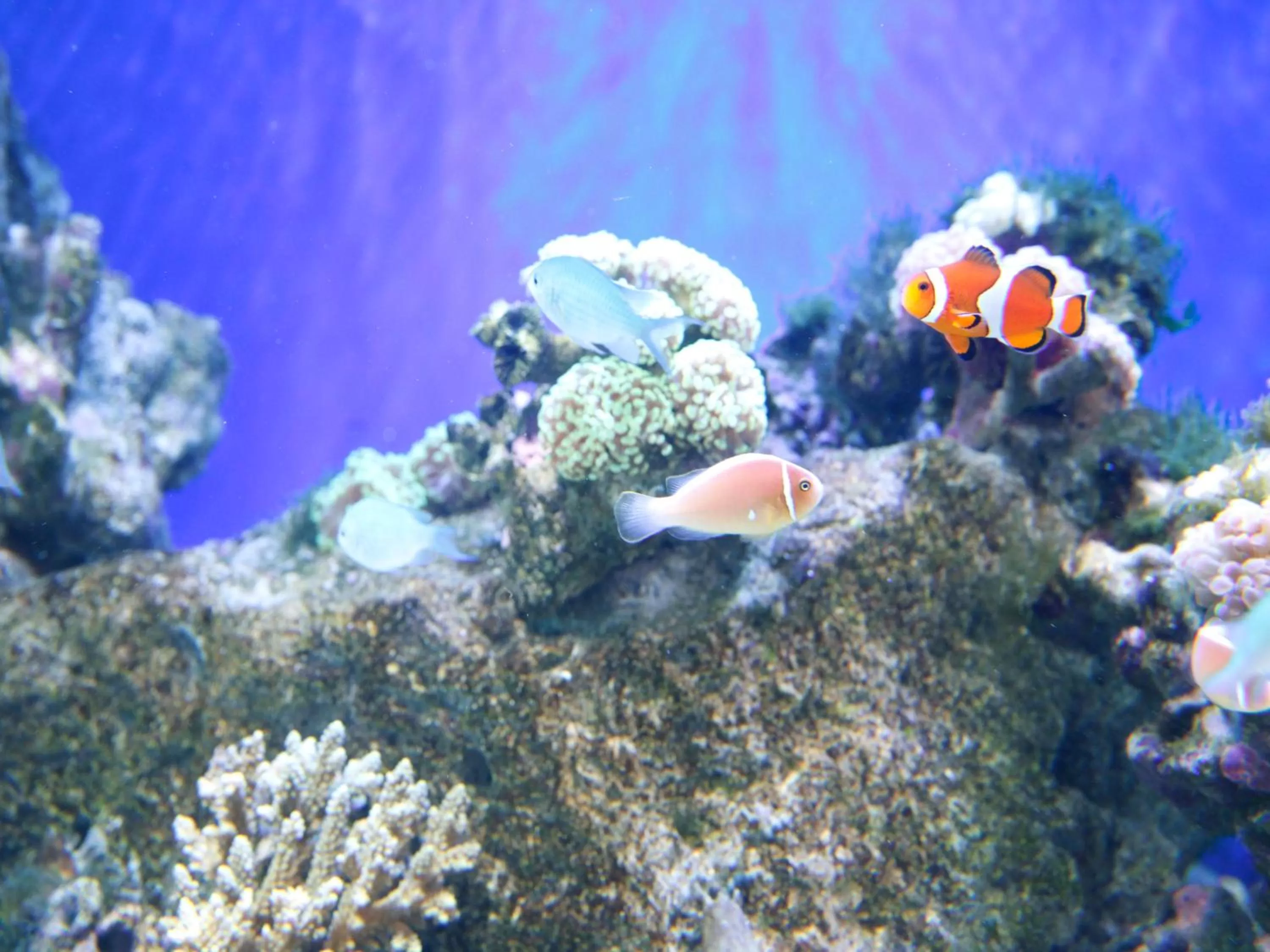 Nearby landmark in Hotel Wing International Select Osaka Umeda