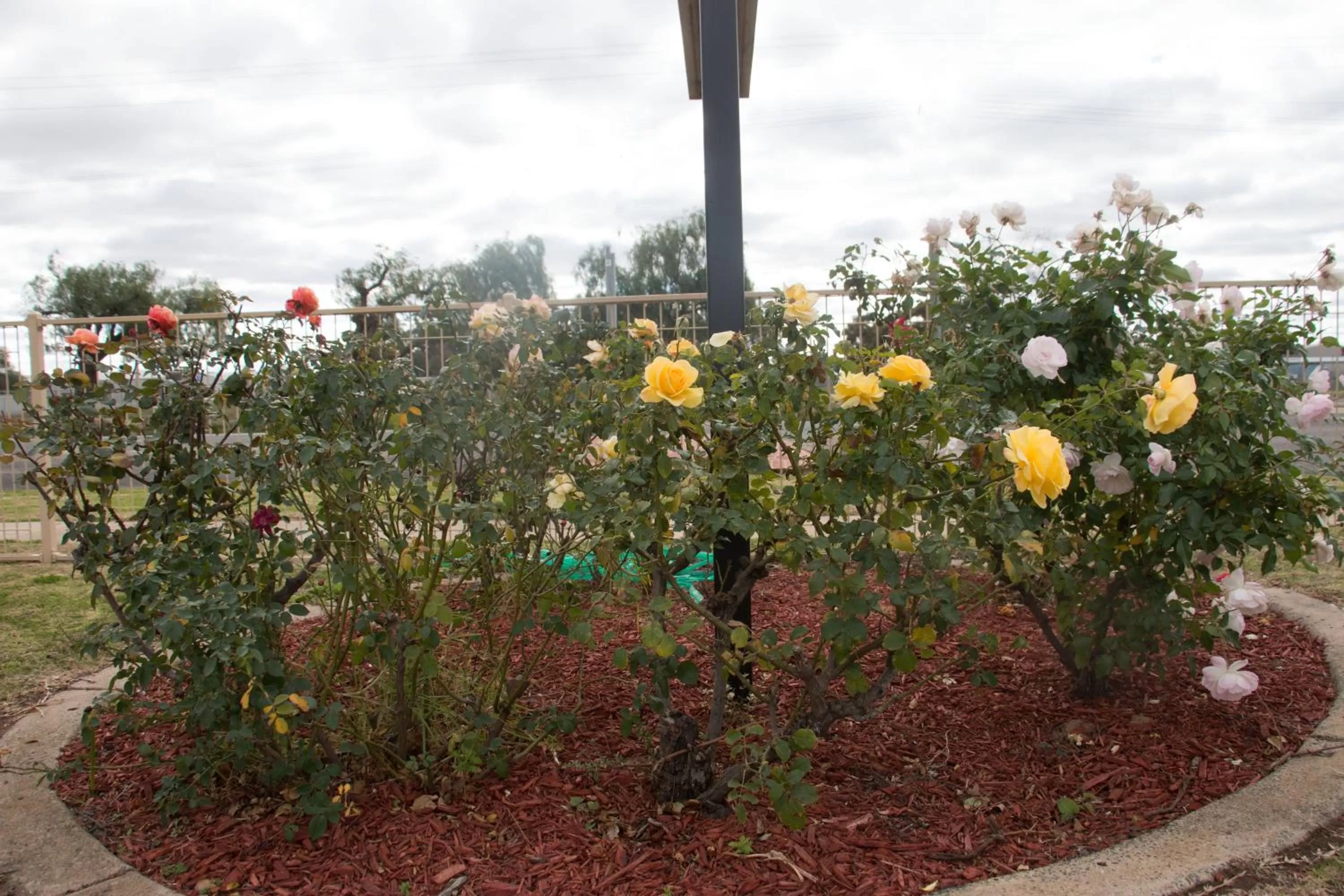 Garden in Highway Inn Motel