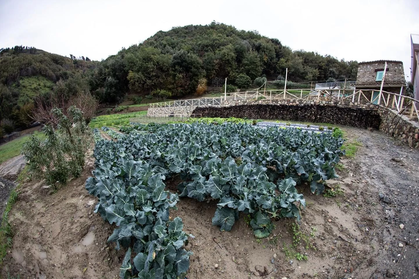 Natural landscape in Borgo Rosso di Sera - Resort Country Chic