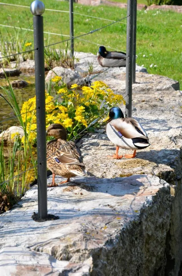 Day in Bad Schauenburg