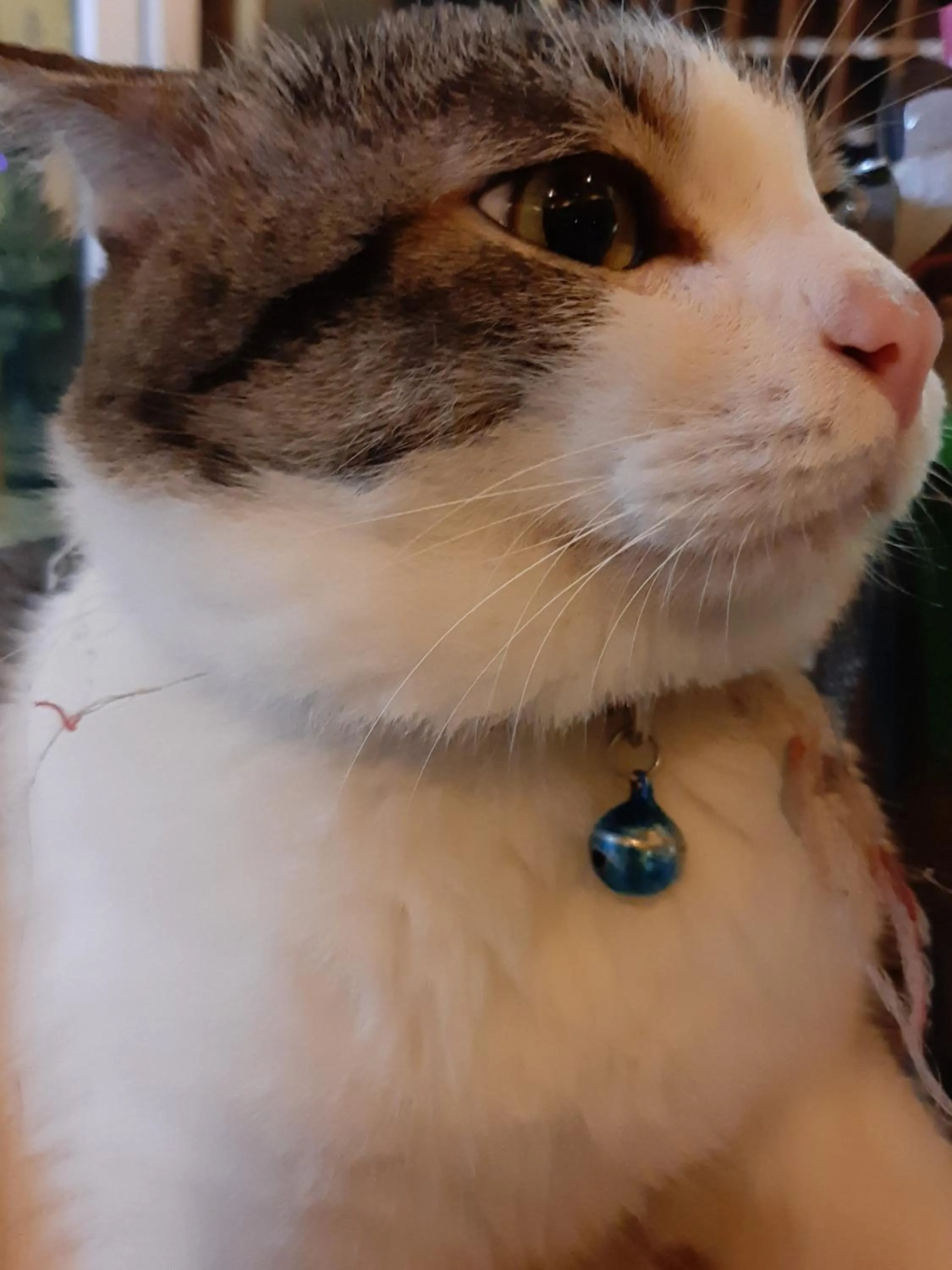 Vanlisut Hotel Ngamwongwan