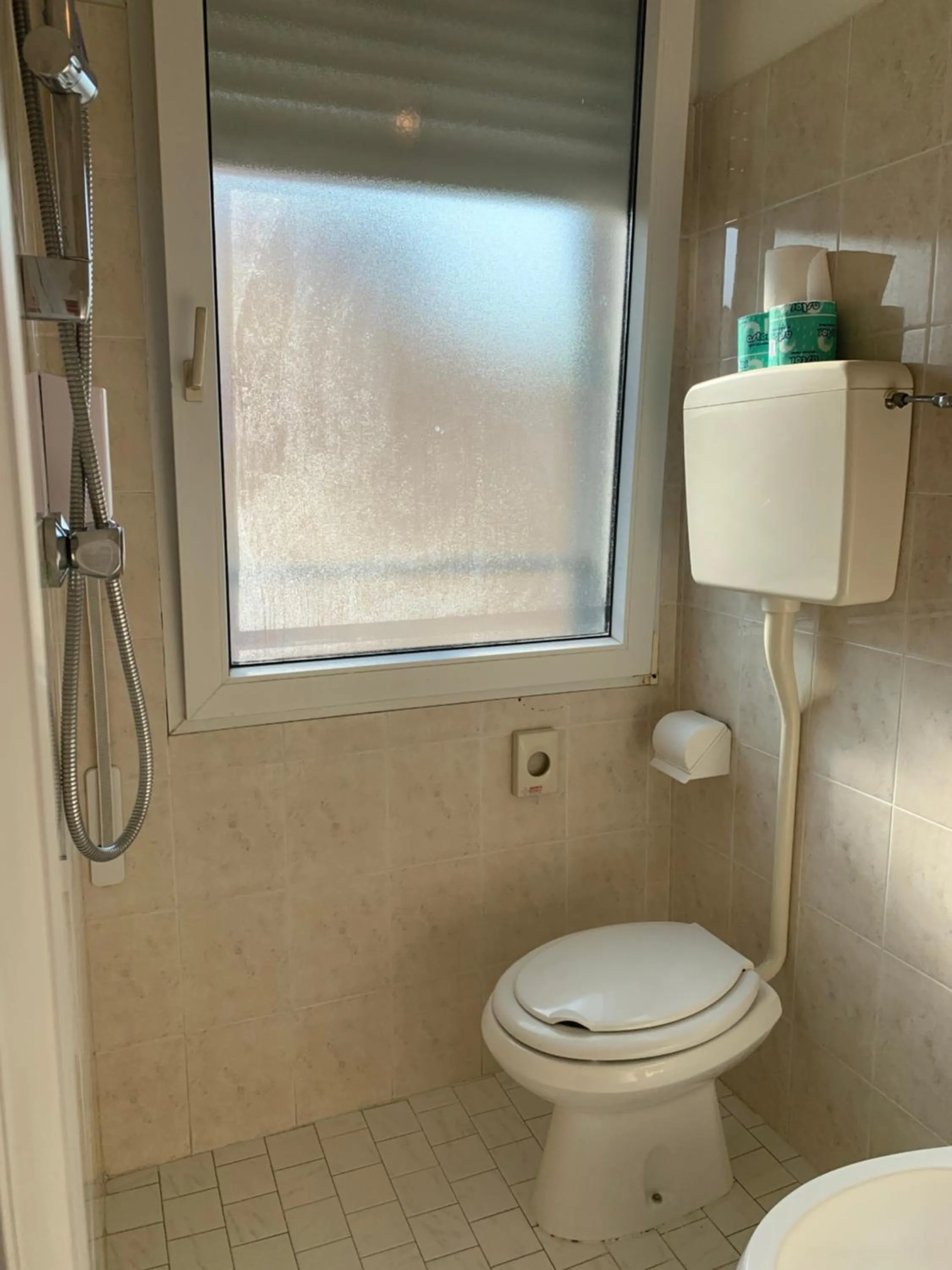 Toilet in Hotel Laika