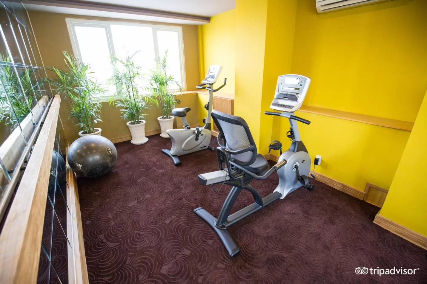 Fitness centre/facilities in Alagon City Hotel & Spa