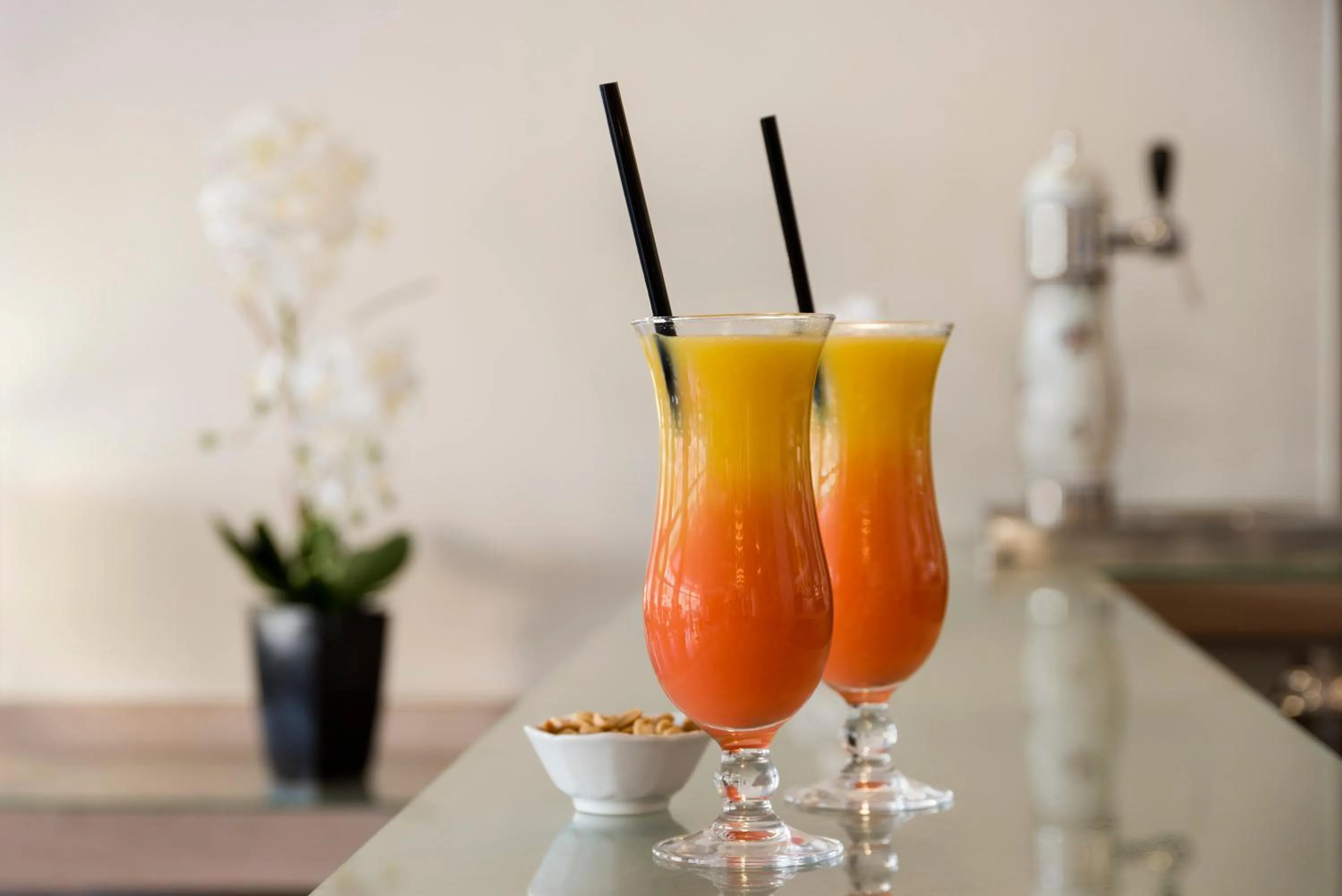 Drinks in The Originals Boutique, Hôtel Neptune, Montpellier Sud