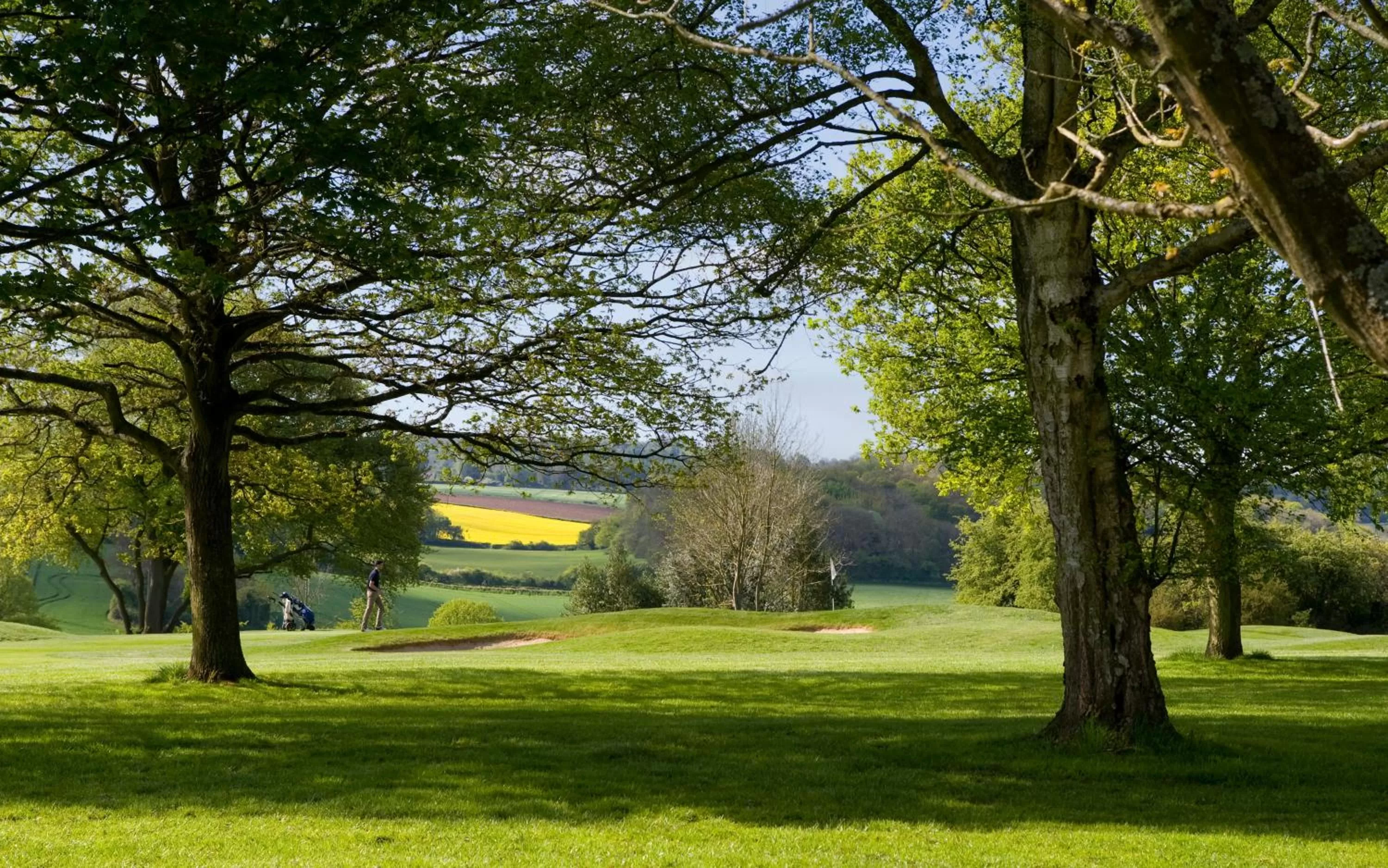 Golfcourse in The Lodge at Kingswood