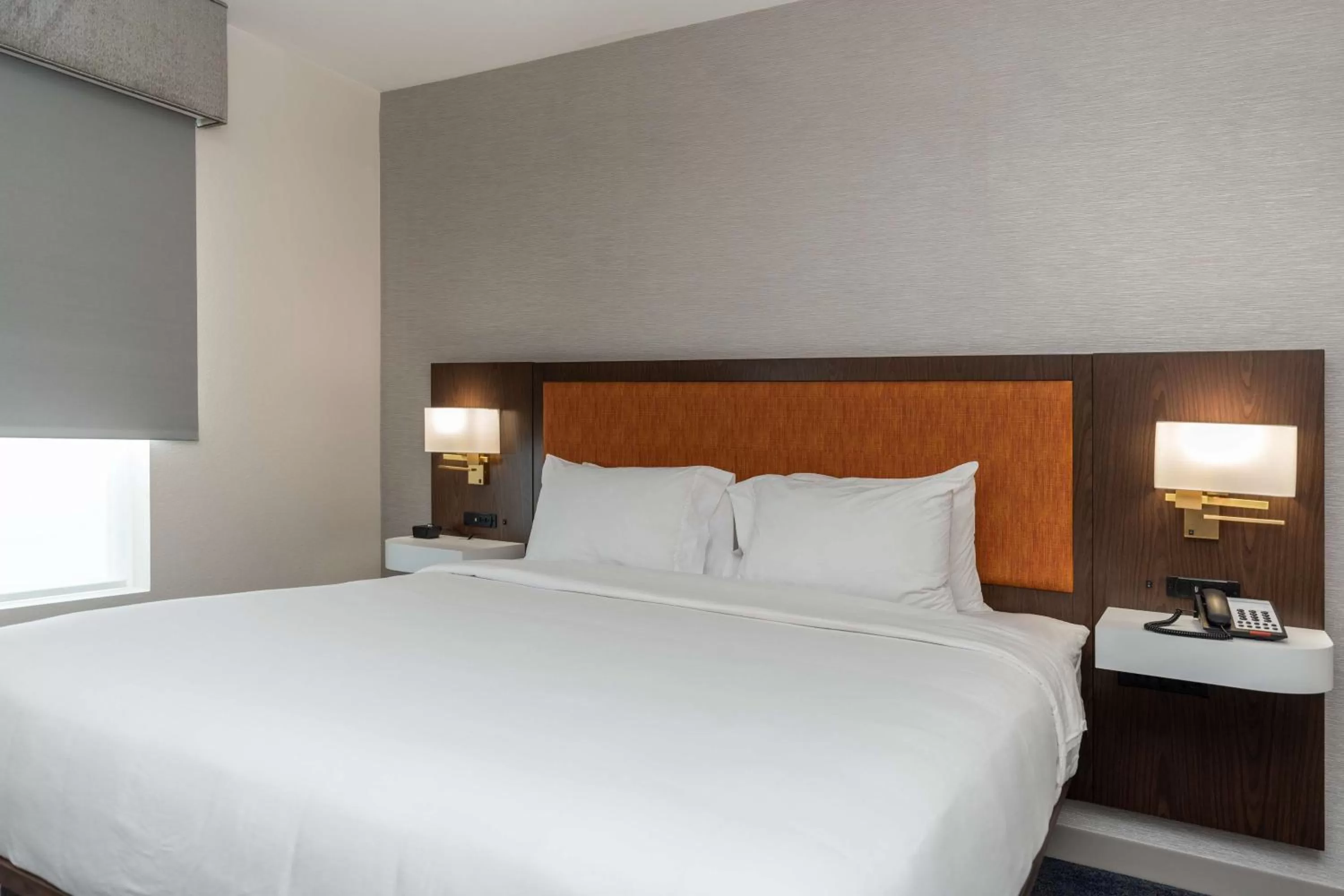 King Room with Roll in Shower - Mobility Accessible/Non-Smoking in Hampton Inn & Suites Sugar Land, Tx