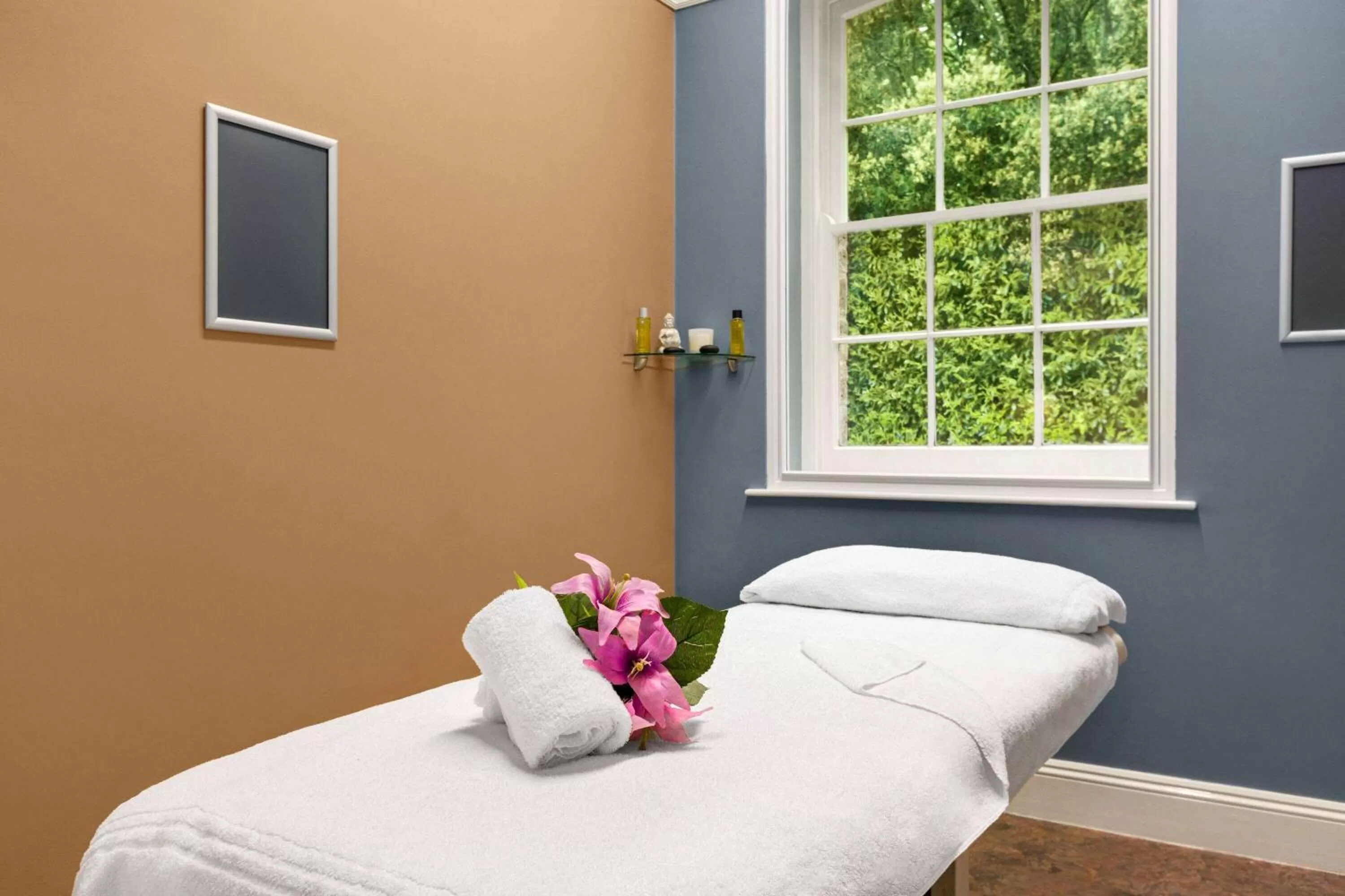 Spa and wellness centre/facilities, Bed in Trenython Manor Resort