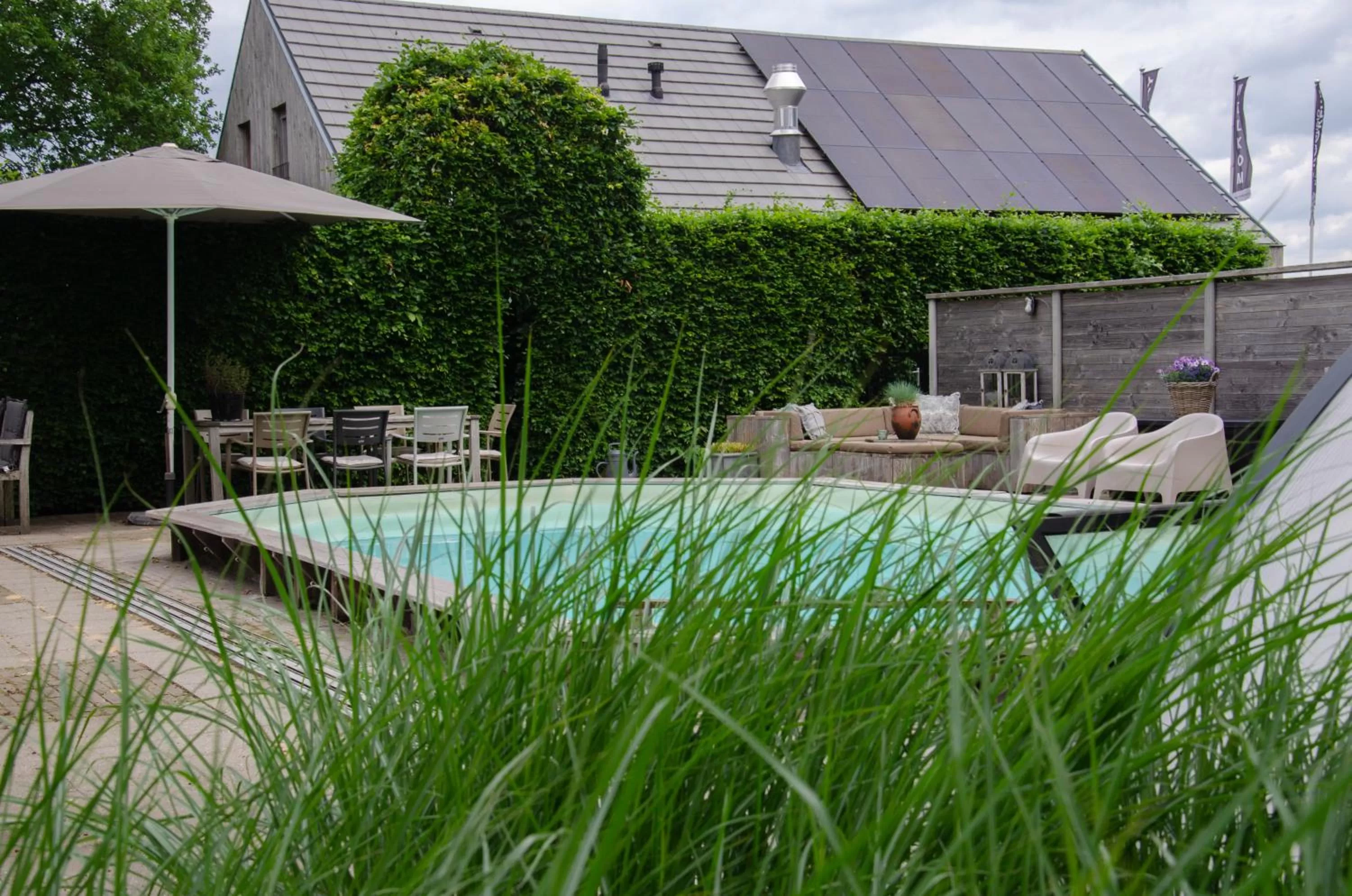 Swimming pool in Bed and Breakfast Bedstay op 8