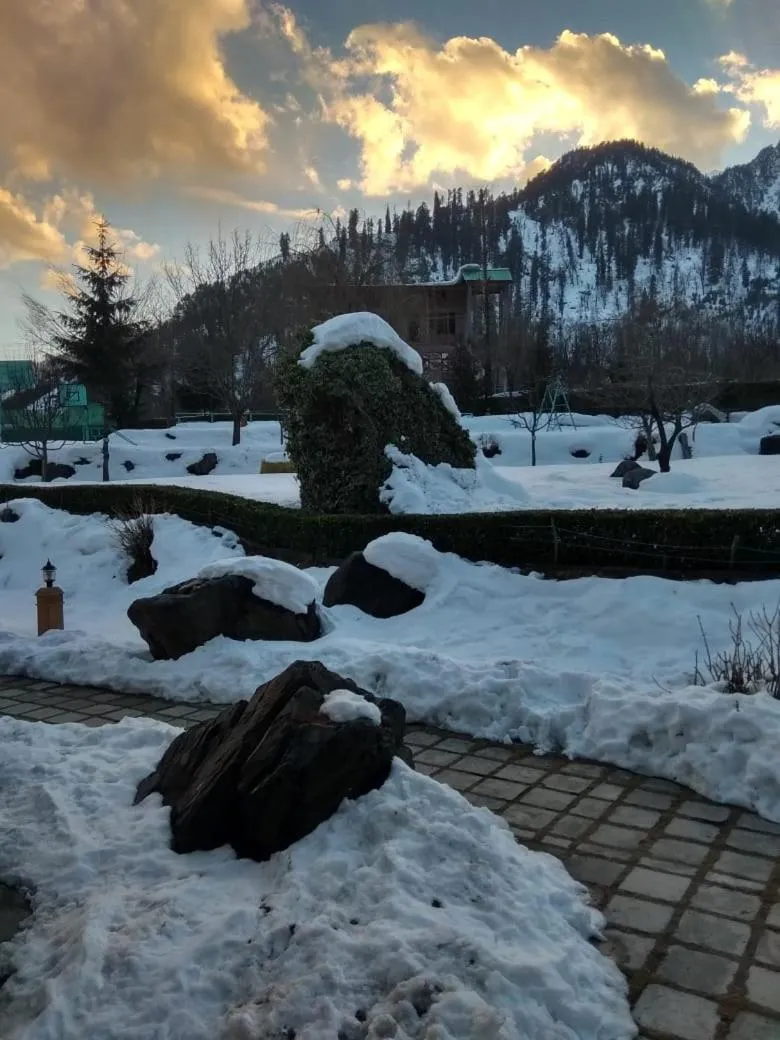 Solang Valley Resort