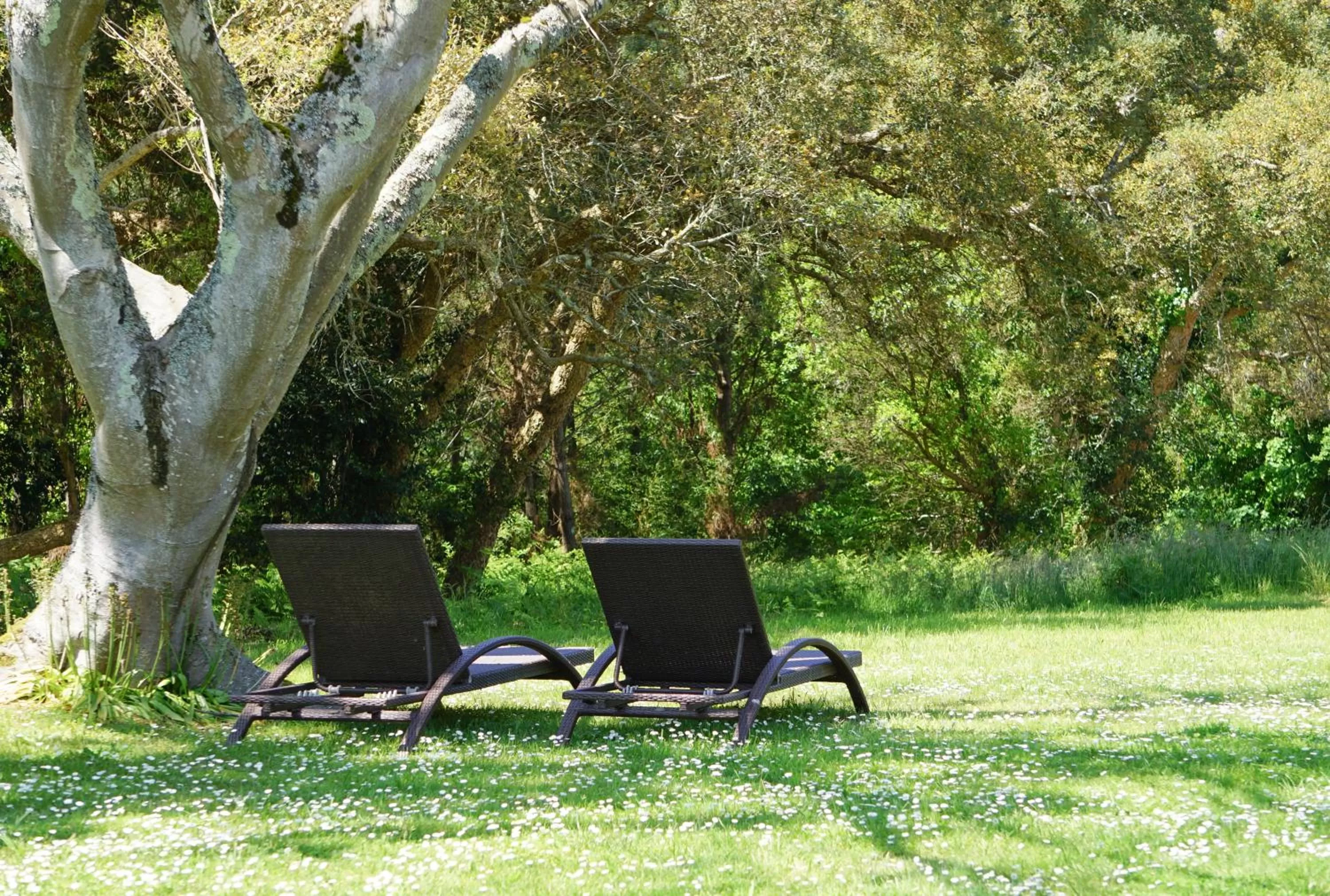 Garden in The Originals City, Hôtel Le Lodge, Ondres, Bayonne Nord