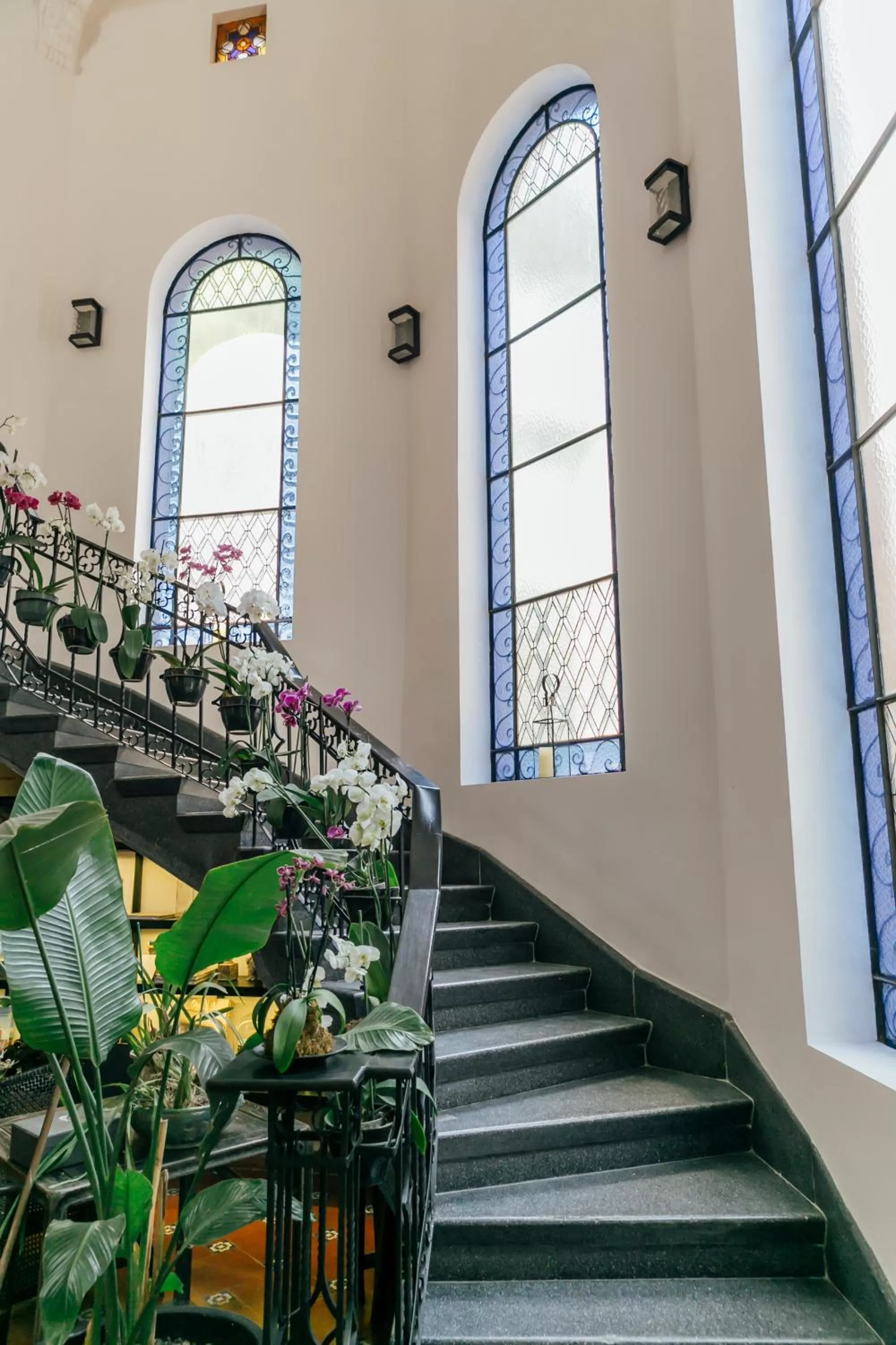 Facade/entrance in Orchid House Mexico City