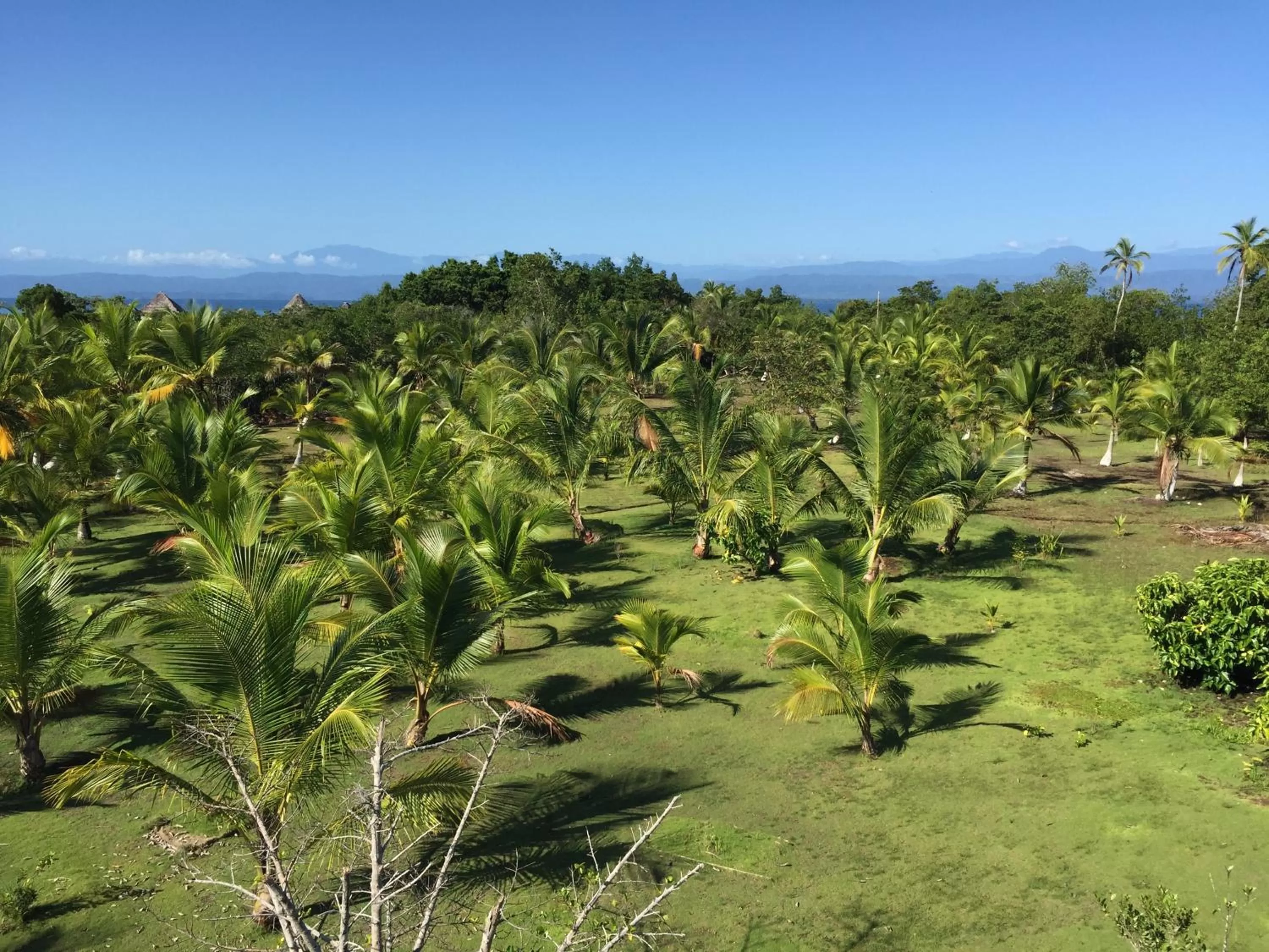 Garden view in Punta Caracol Acqua Lodge