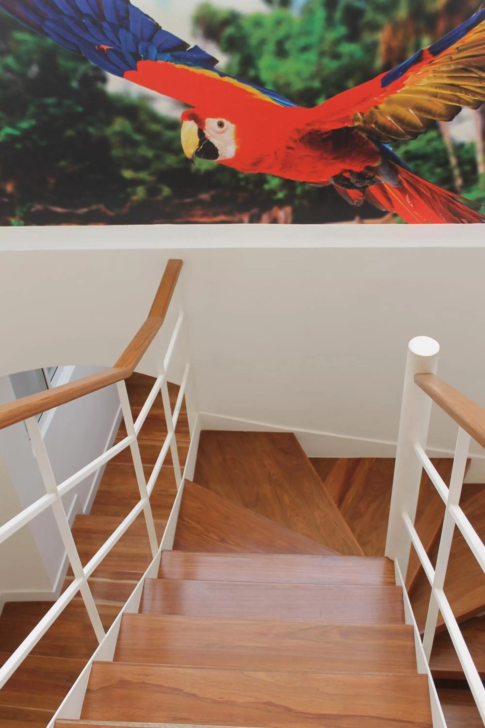 Area and facilities in Casa Hotel Boyaca Real