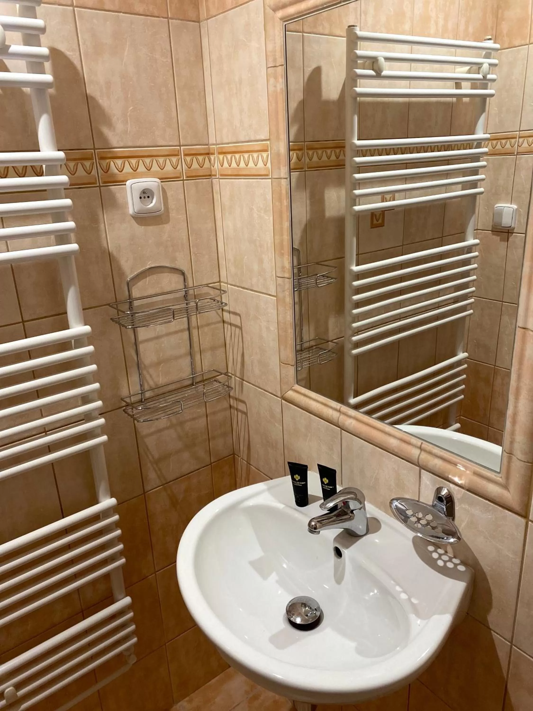 Bathroom in Hotel U Ševce