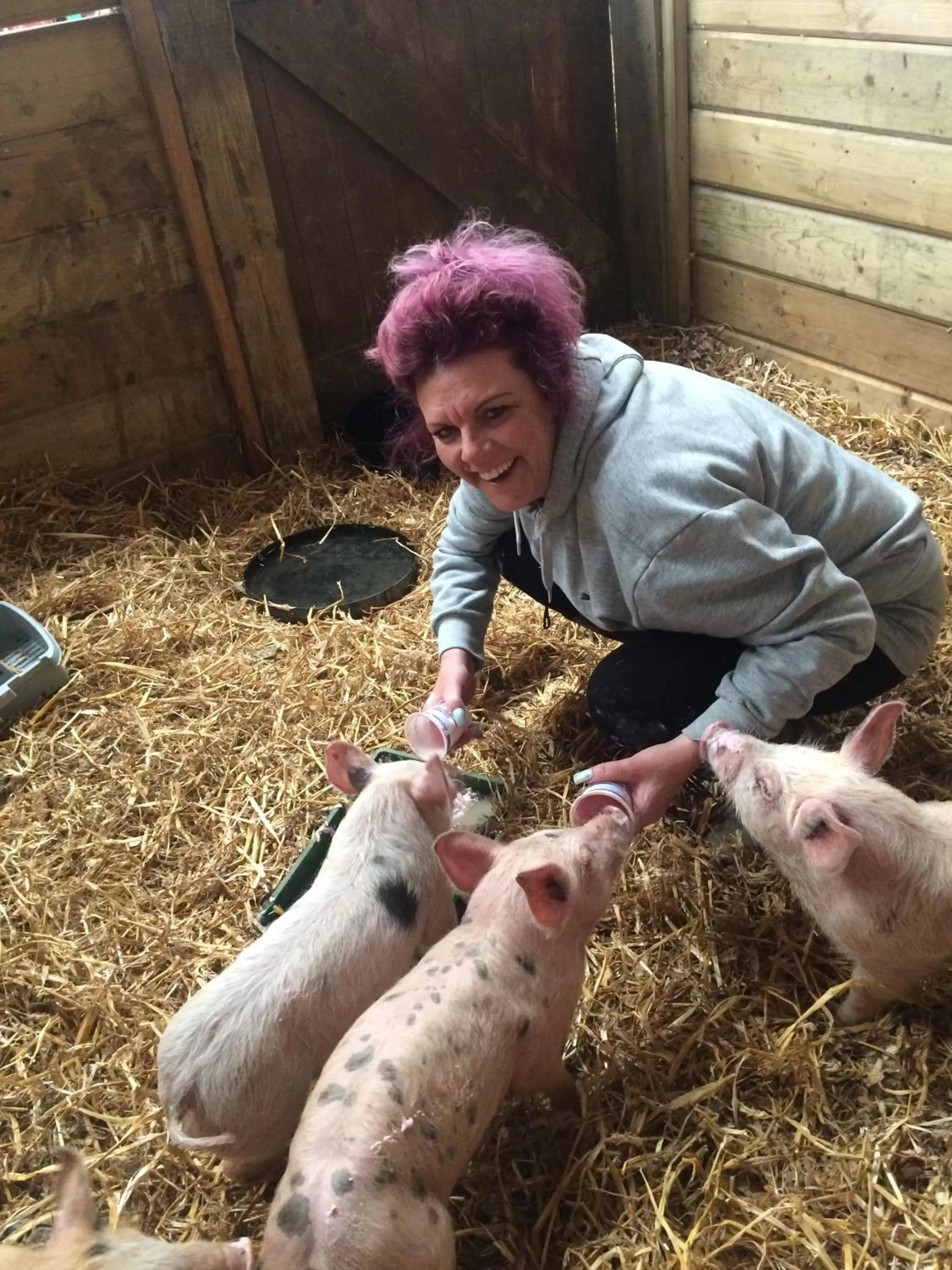 Animals in Barton Gate Farm B&B