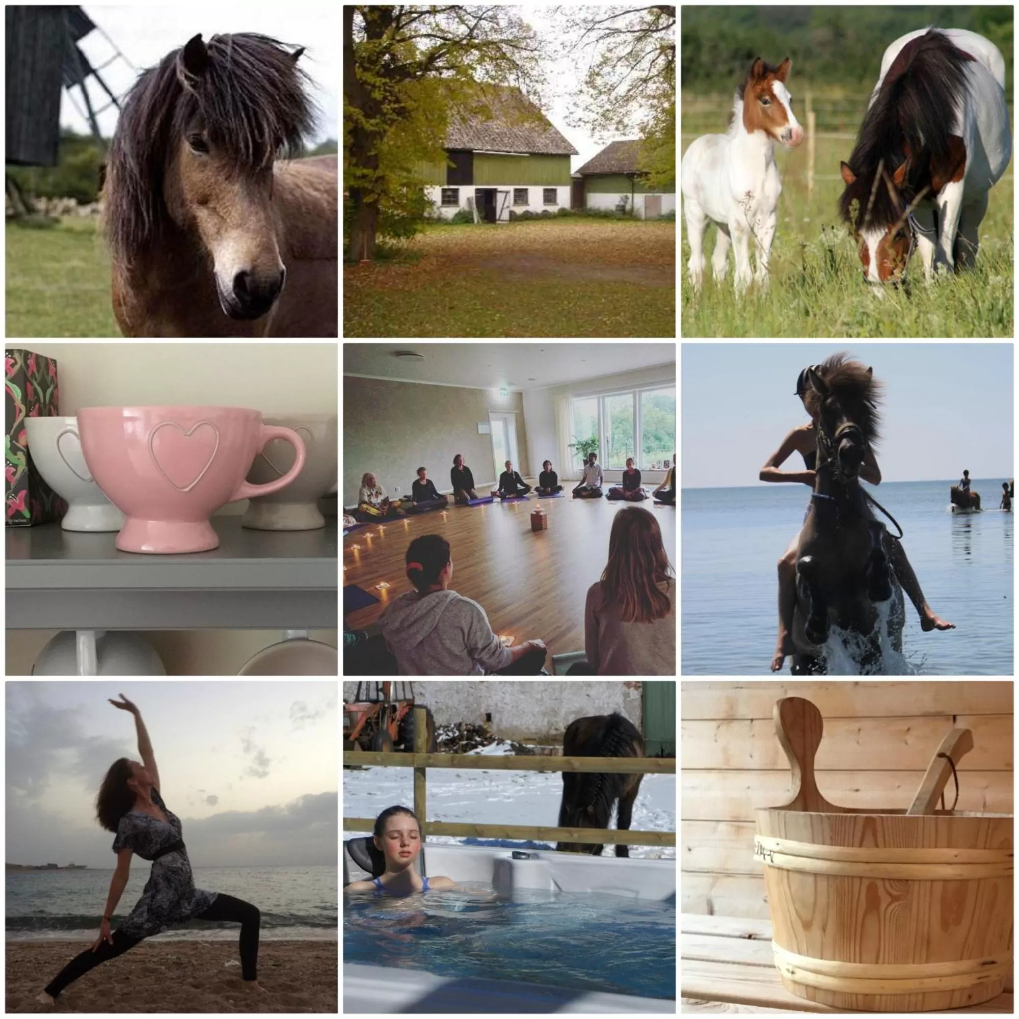 Property building in Ölands Yoga Studio & Islandshästar, Stugor & Rum