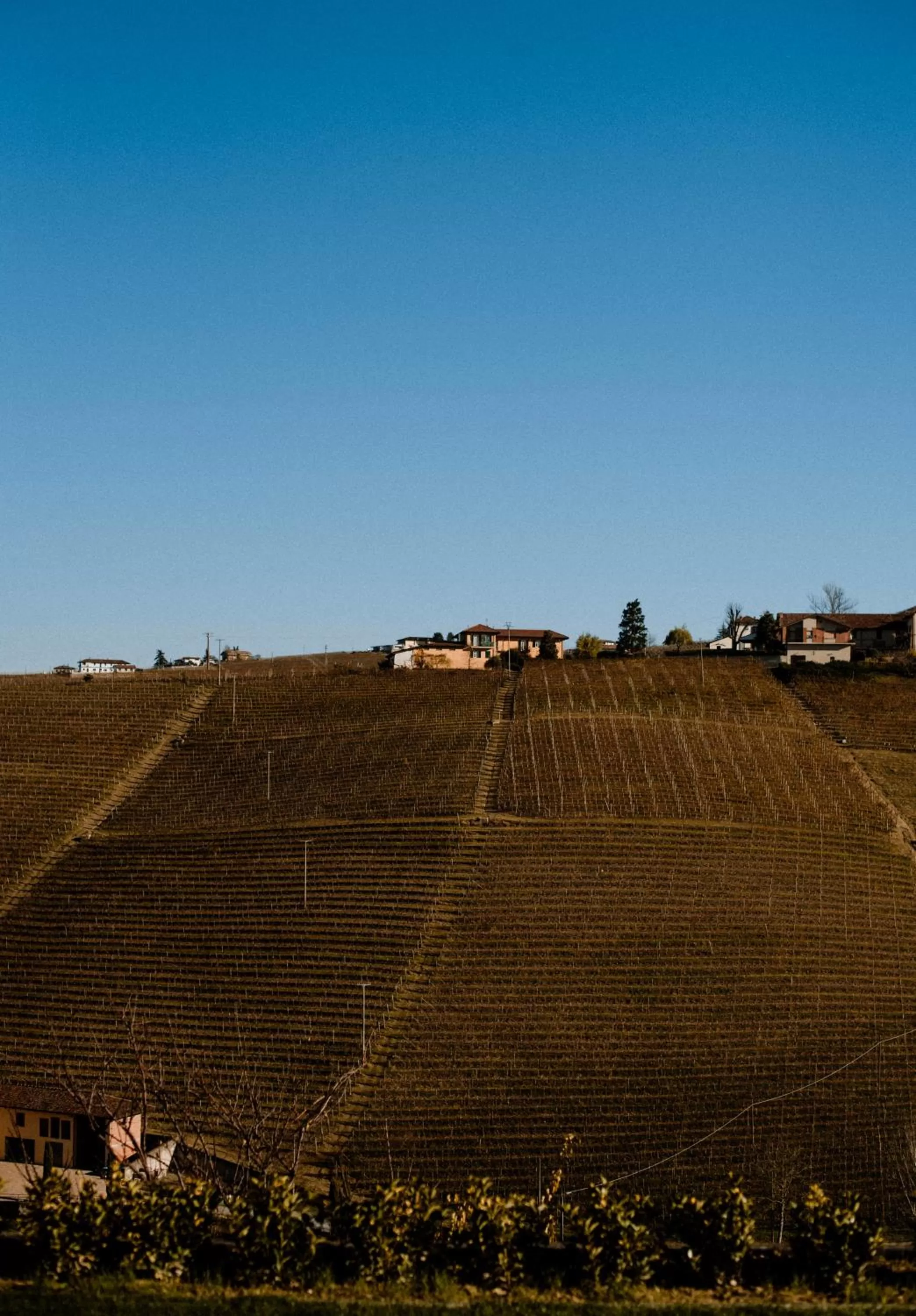 Natural landscape in Panoramic Villa Garassino - country rooms and fine restaurant