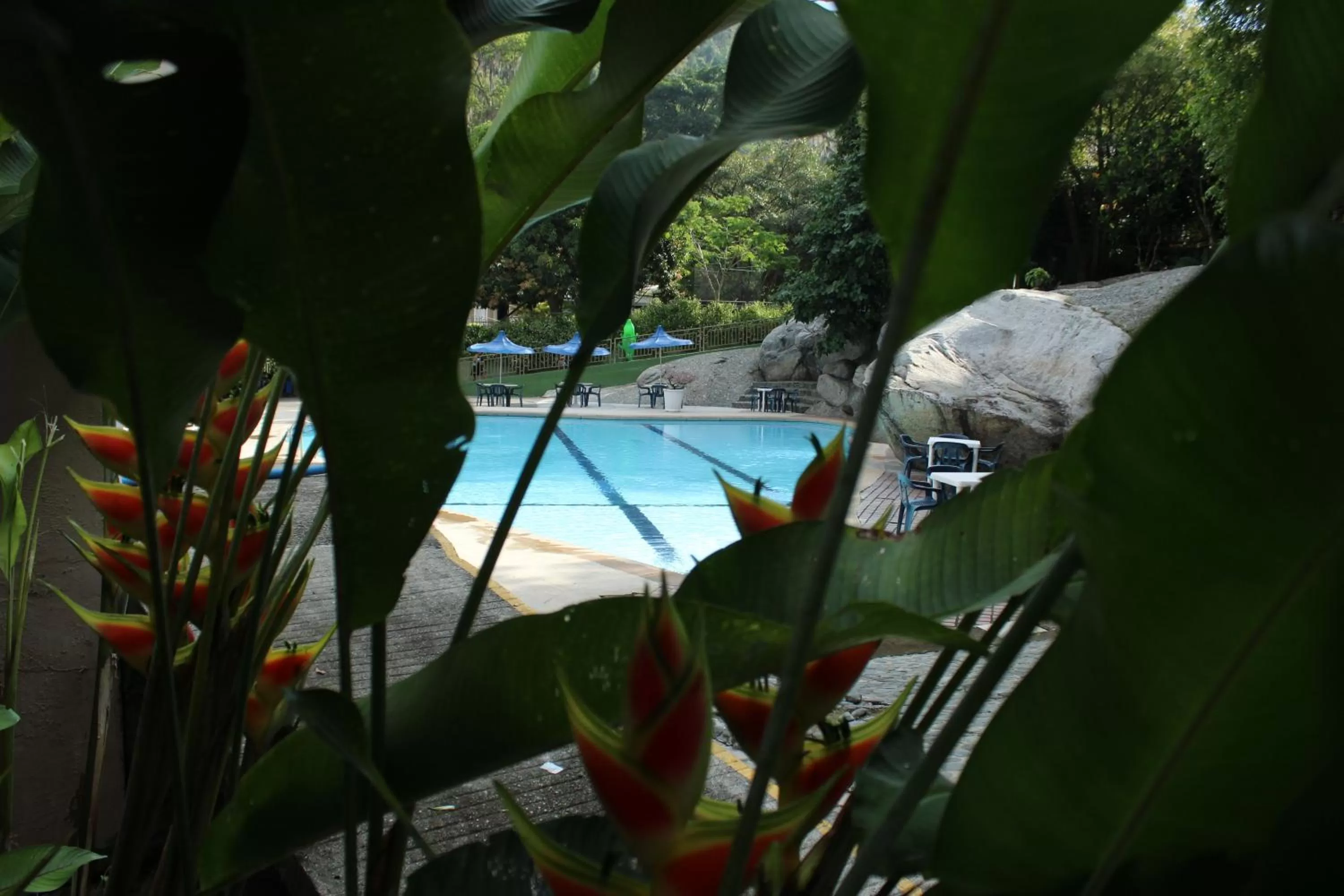 Pool view in Rio Escondido