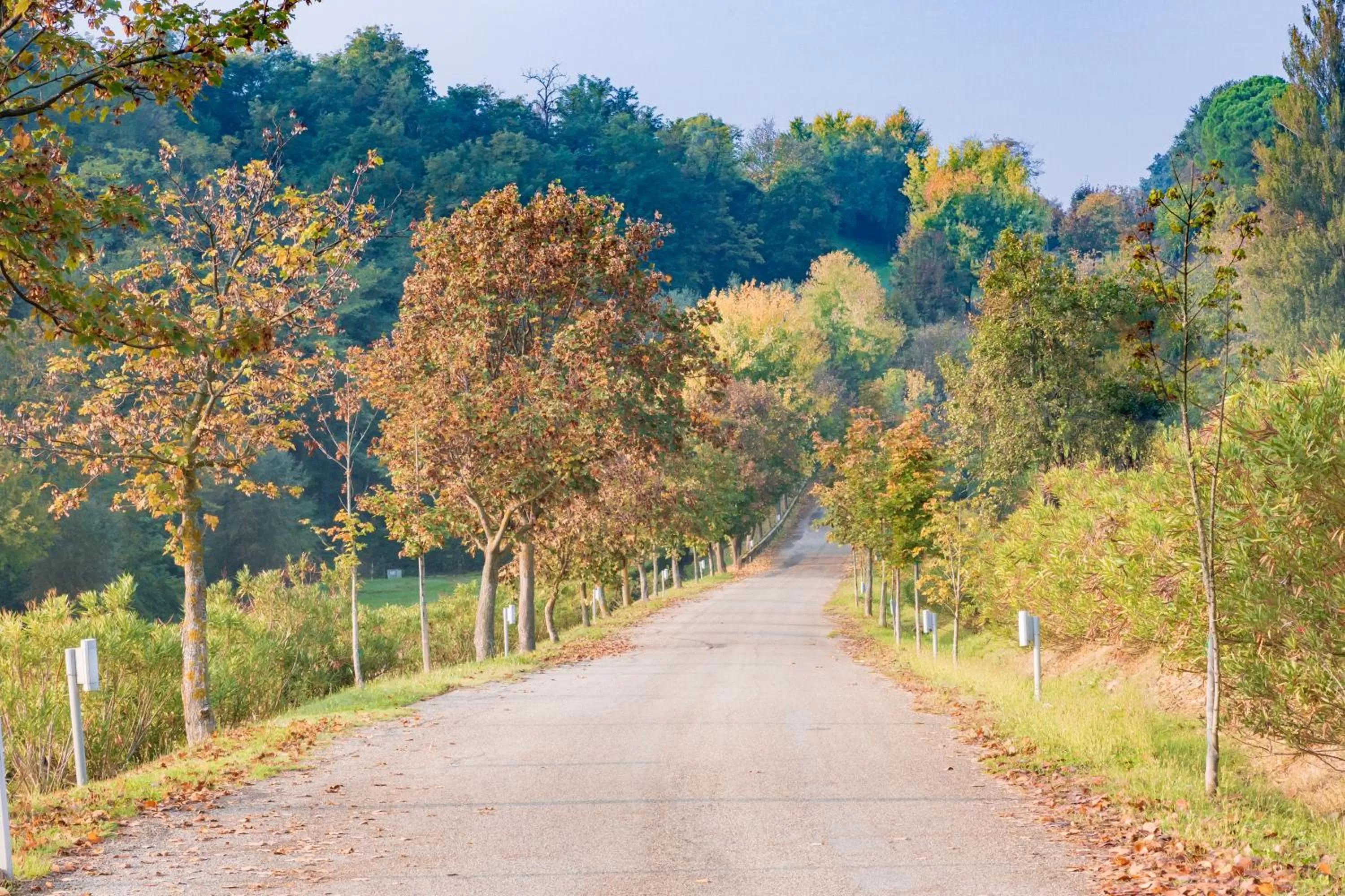BolognaRoomscom - Ca' Palazzo