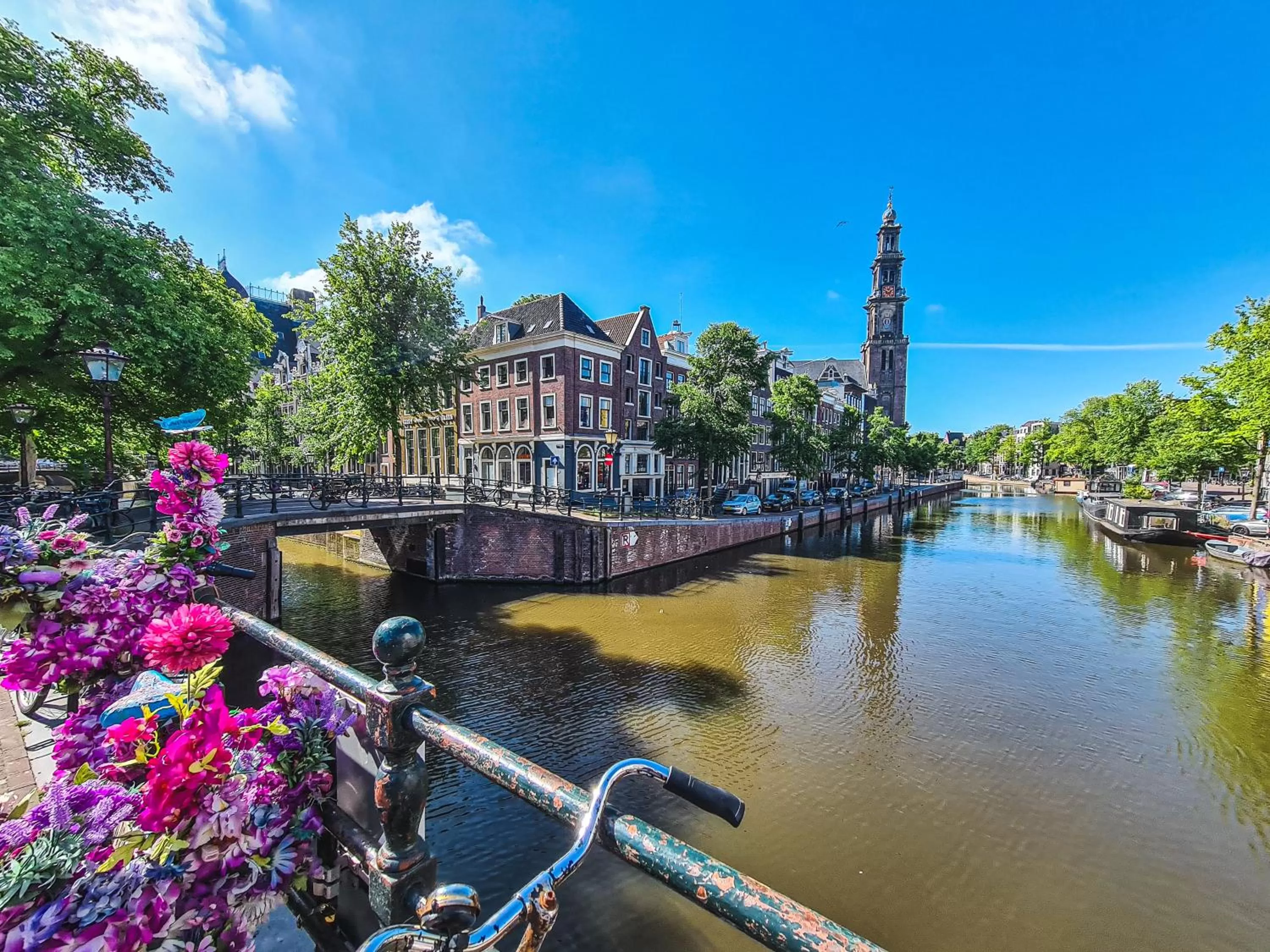 Neighbourhood in Hotel Alexander