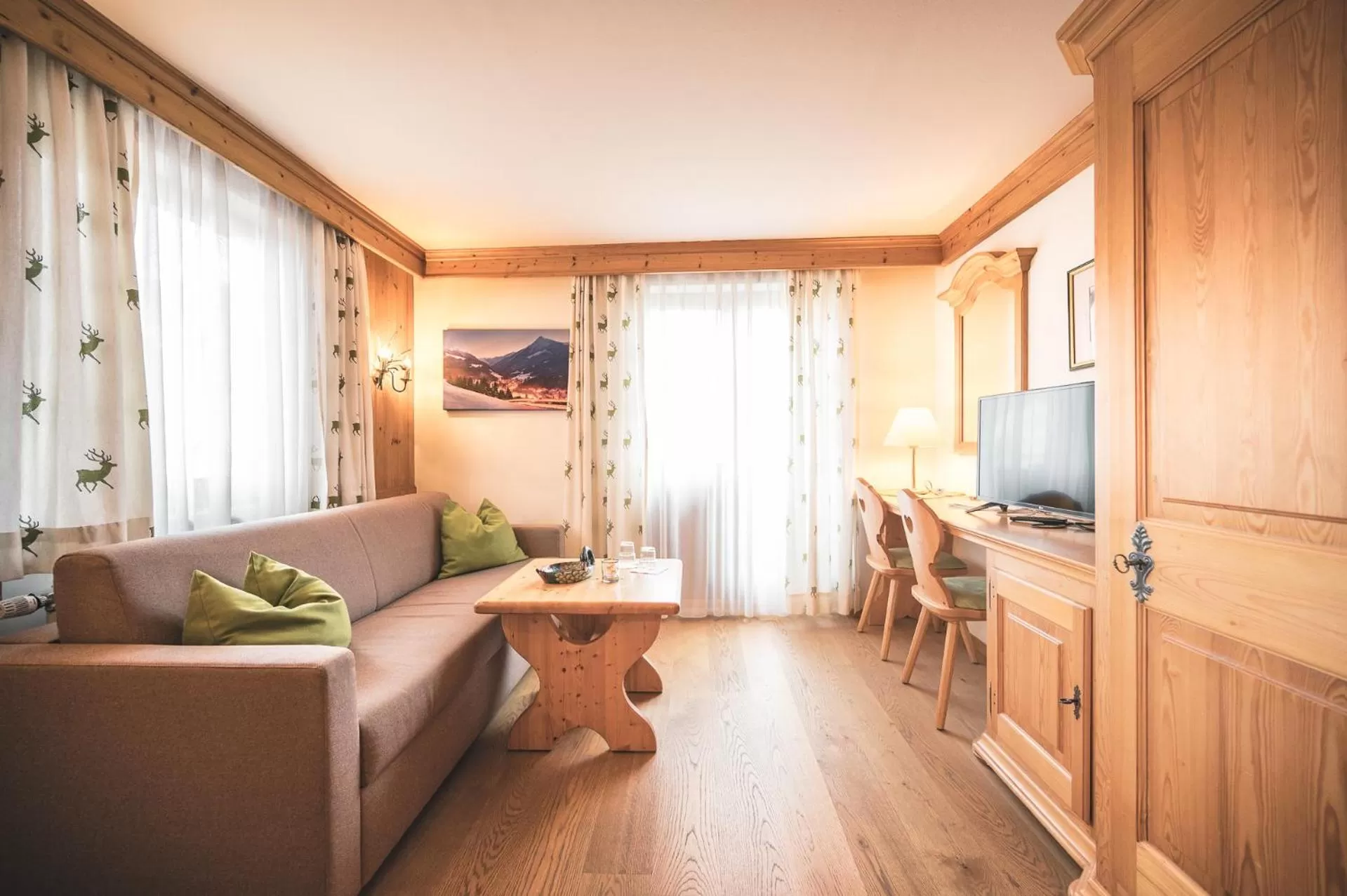 TV and multimedia in Hotel Schartner