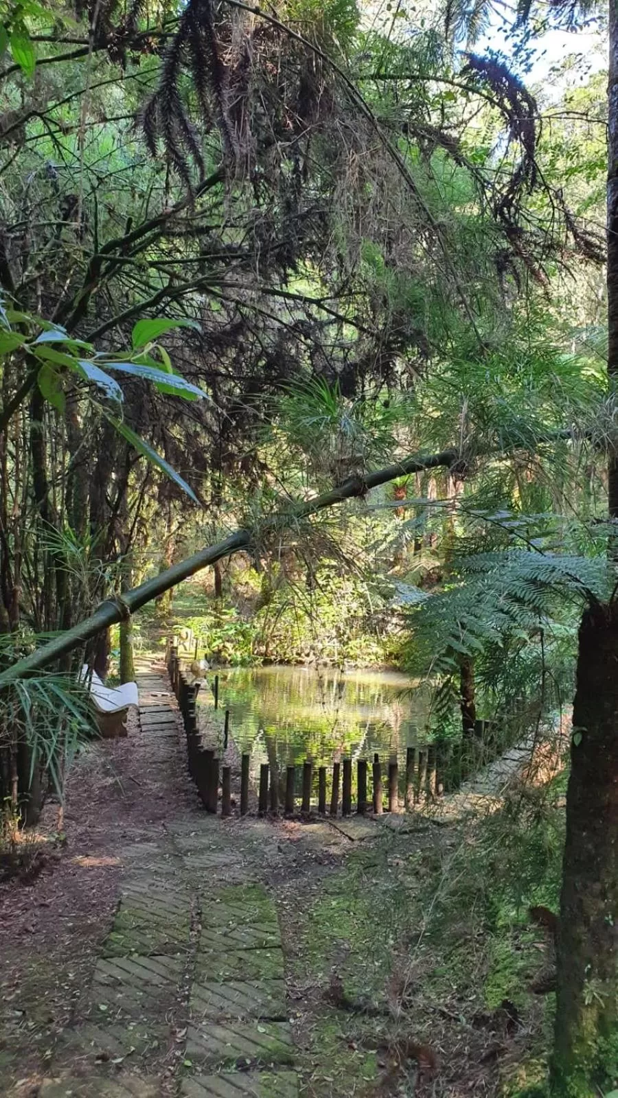 Natural landscape, Garden in Pousada Ricanto Amore Mio