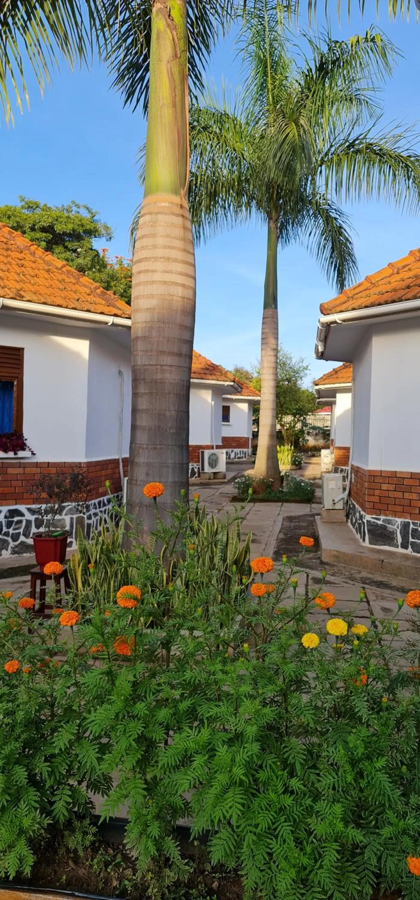 Property building in Northern Pearl