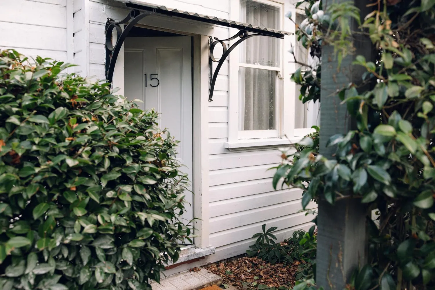 Spring in Links House